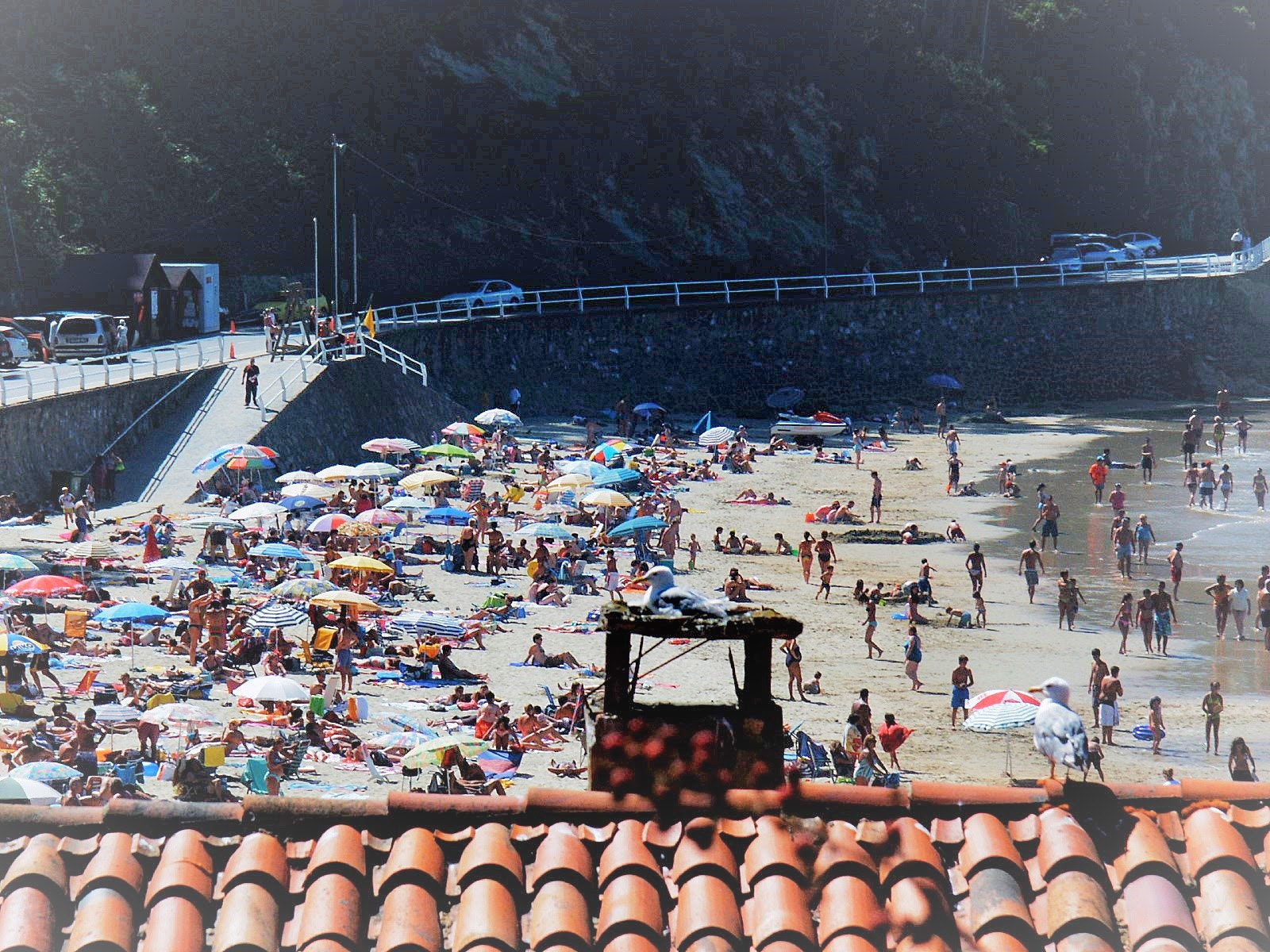 KONICA MINOLTA DiMAGE 7 sample photo. Palomas tomando el sol photography
