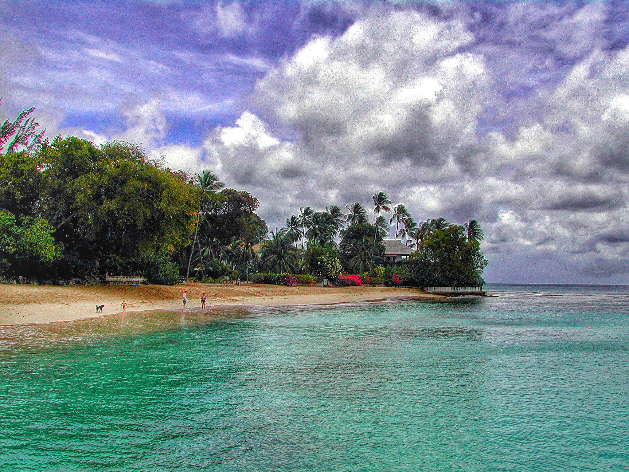 Nikon E885 sample photo. Barbados photography