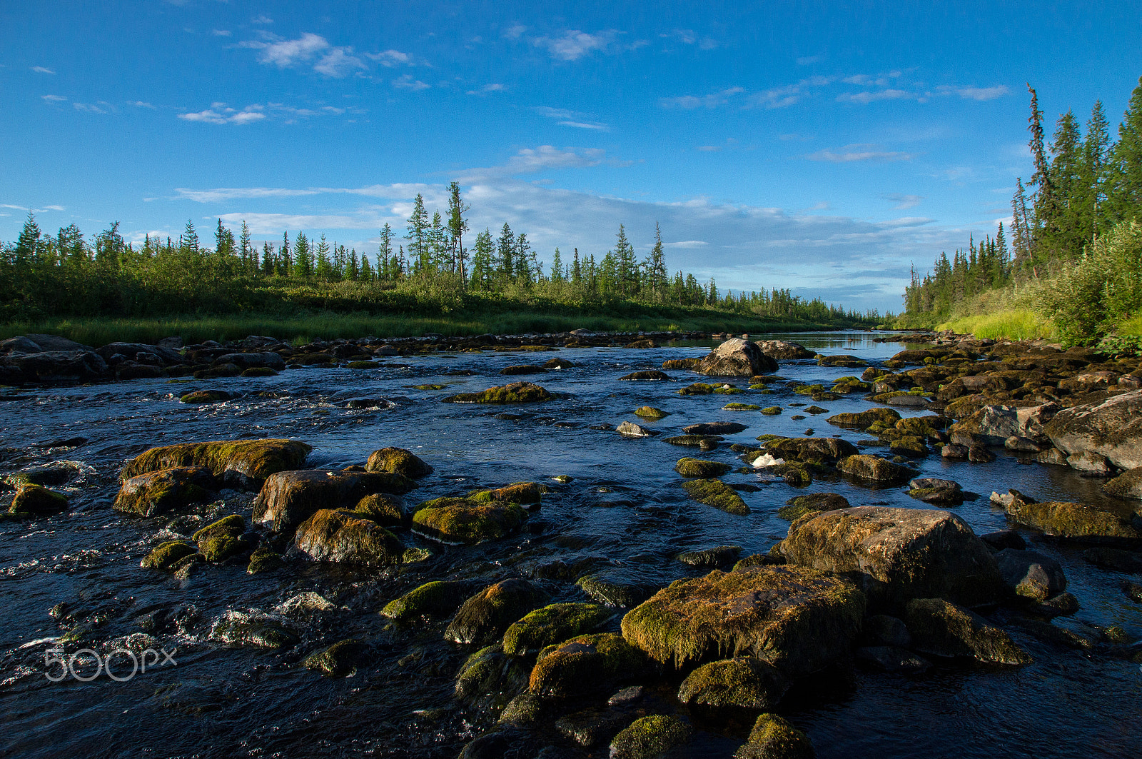 Sony SLT-A55 (SLT-A55V) + Sony DT 16-50mm F2.8 SSM sample photo. Landscape with forest, river and stones photography