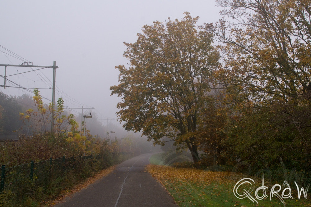 Sony SLT-A58 + Sigma DC 18-125mm F4-5,6 D sample photo. Deventer in de mist (2015) photography