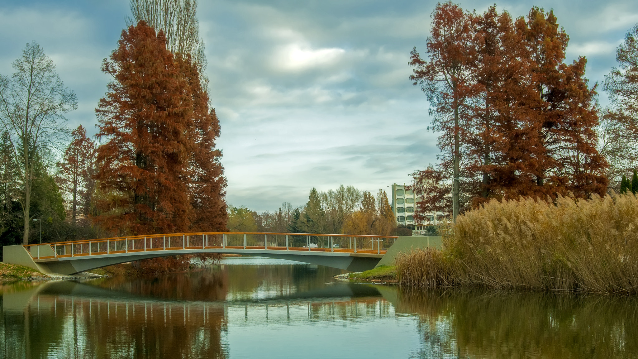 AF Zoom-Nikkor 28-80mm f/3.3-5.6G sample photo. Autumn of the gate photography