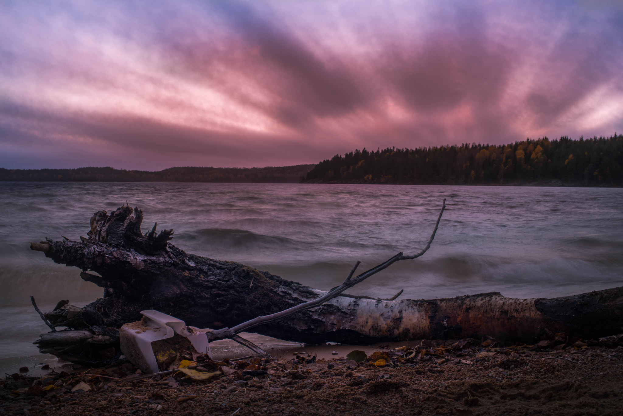 AF Zoom-Nikkor 35-70mm f/3.3-4.5 N sample photo. Woodlight photography