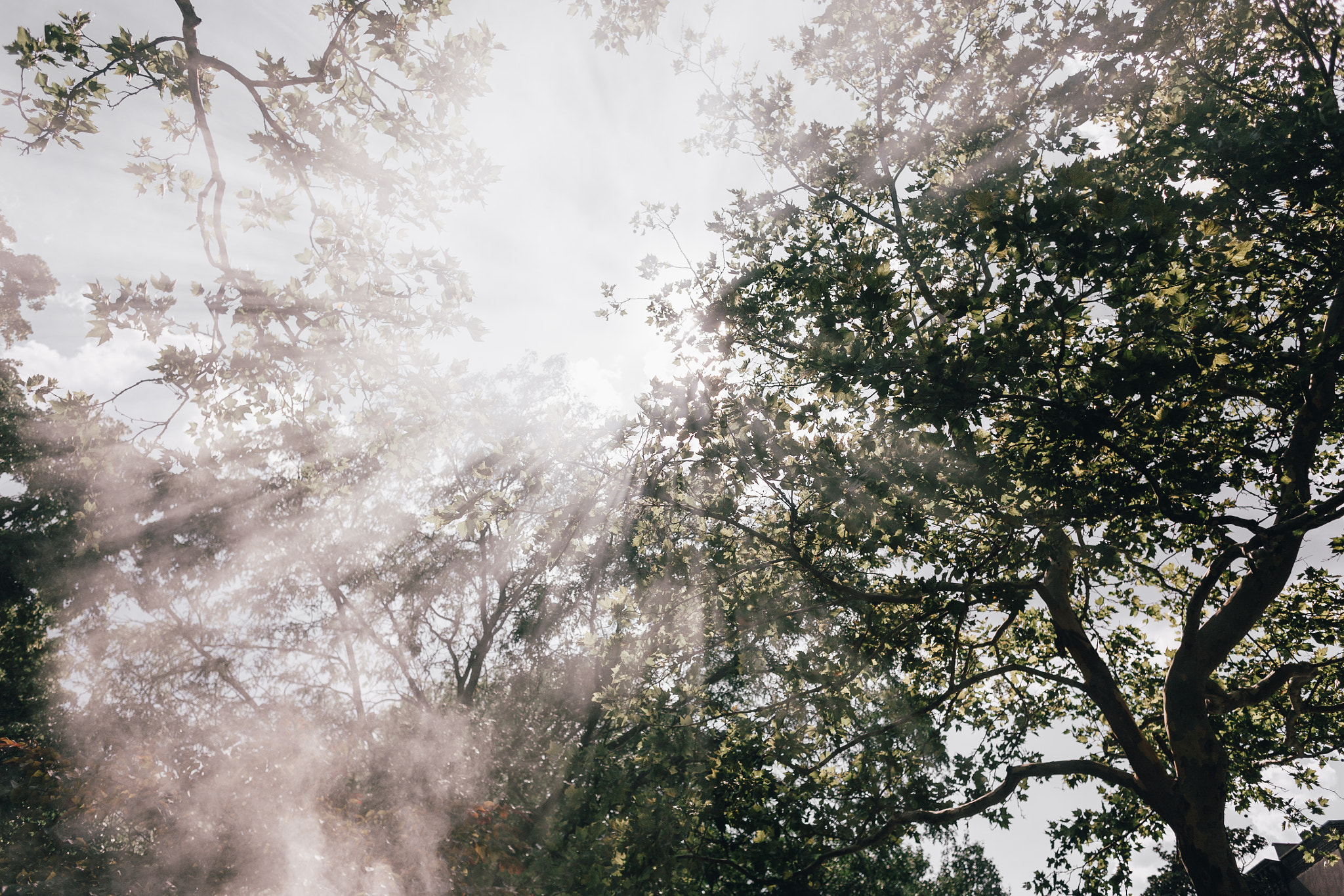 Canon EOS 5D + Canon EF 28mm F1.8 USM sample photo. Sun rays photography