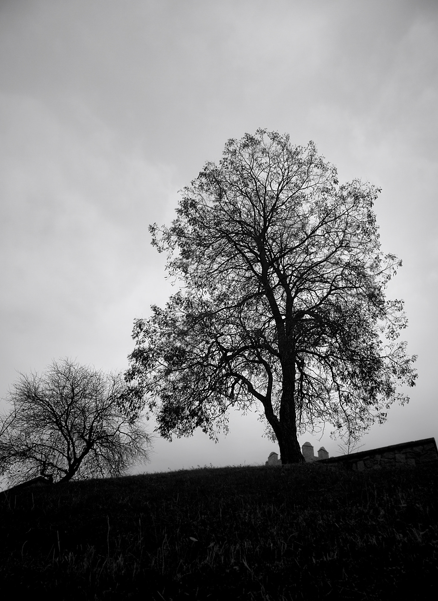 Olympus PEN E-PL1 sample photo. Sombras photography