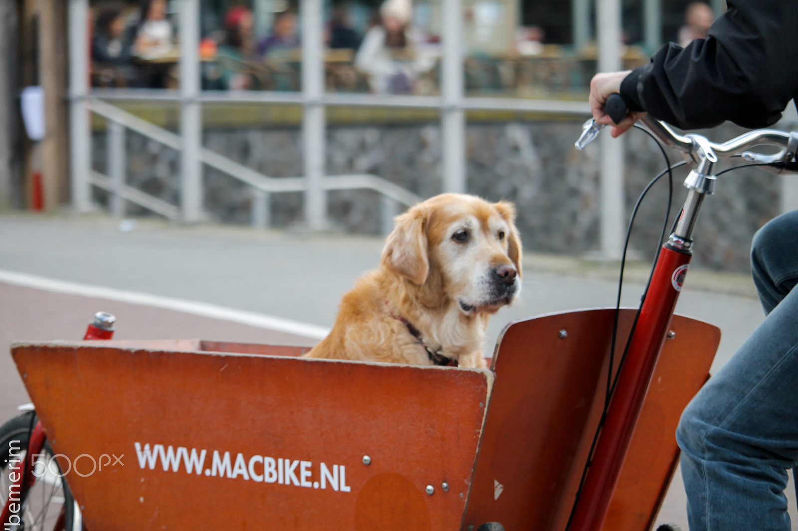 Canon EF-S 55-250mm F4-5.6 IS STM sample photo. Euro () photography