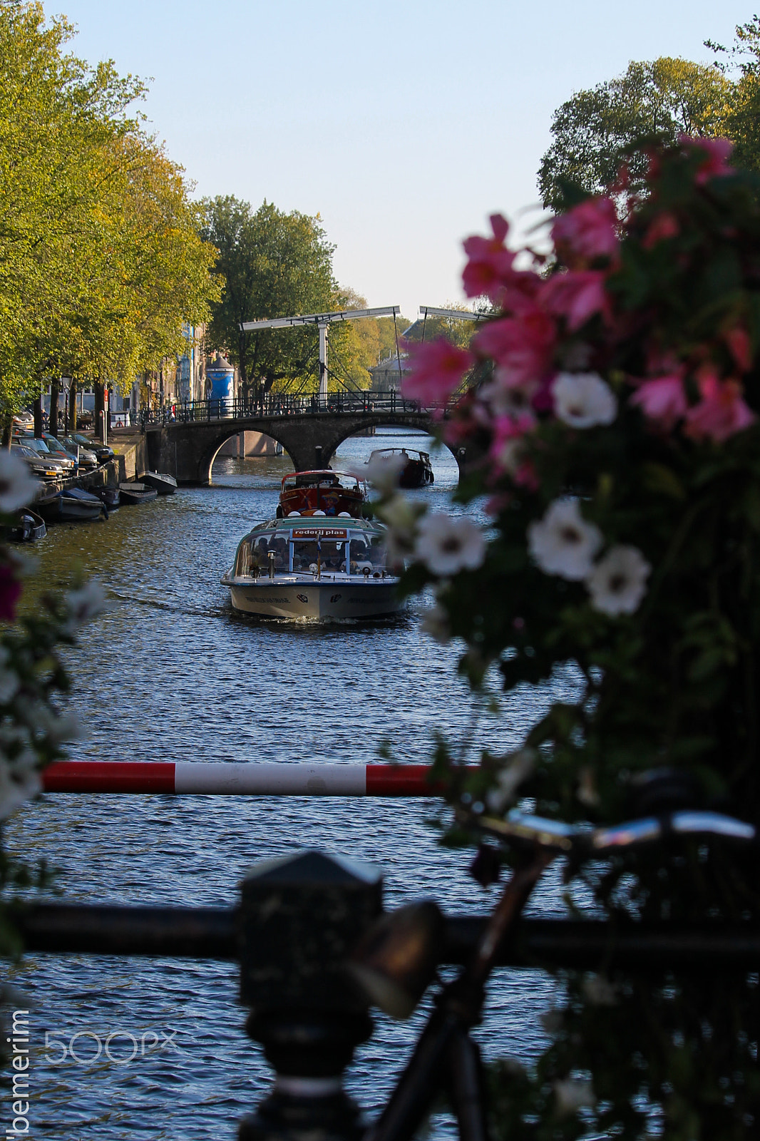 Canon EF-S 55-250mm F4-5.6 IS STM sample photo. Euro () photography