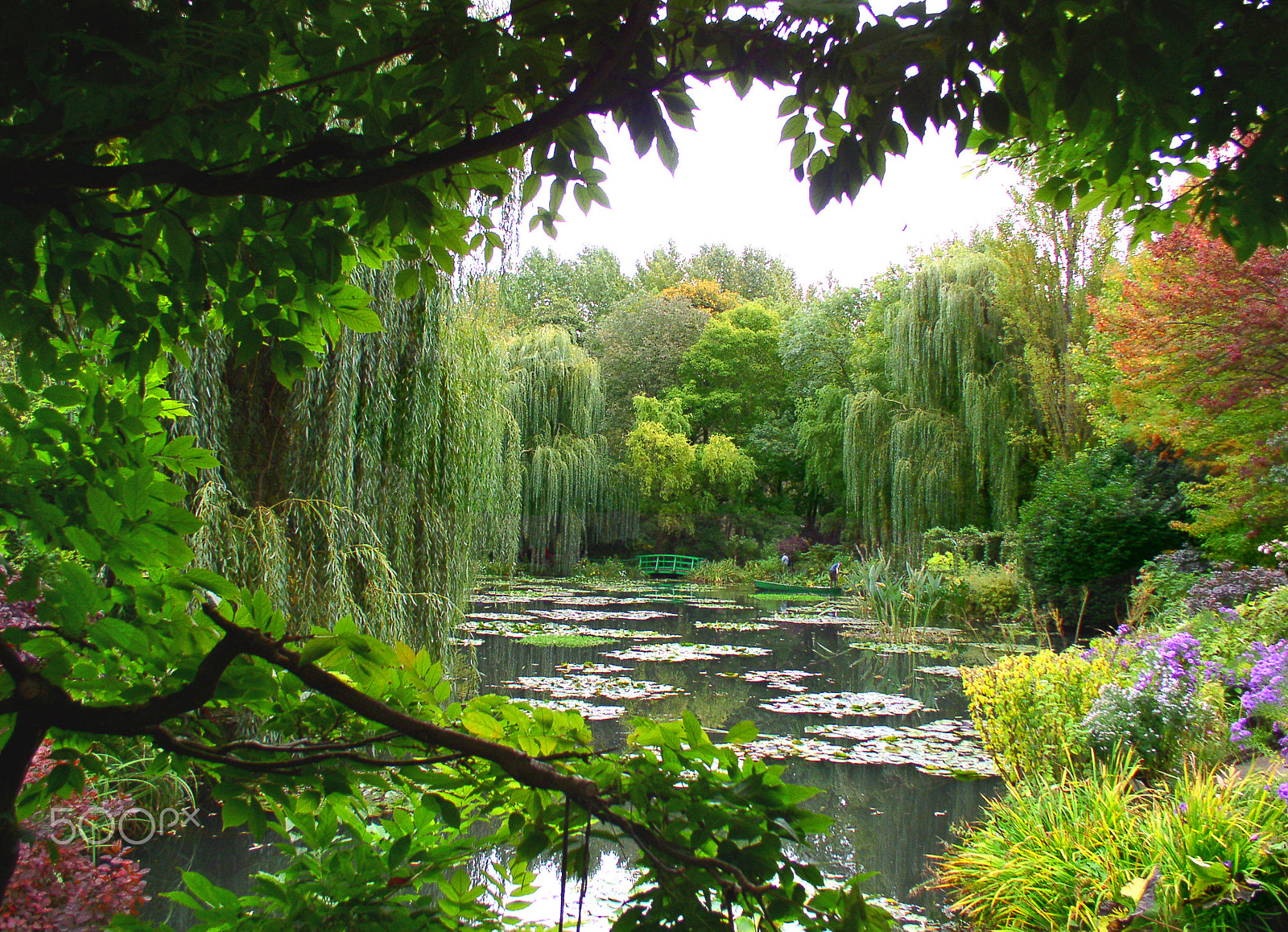 Olympus C4100Z,C4000Z sample photo. Monet's garden at giverny, france. photography