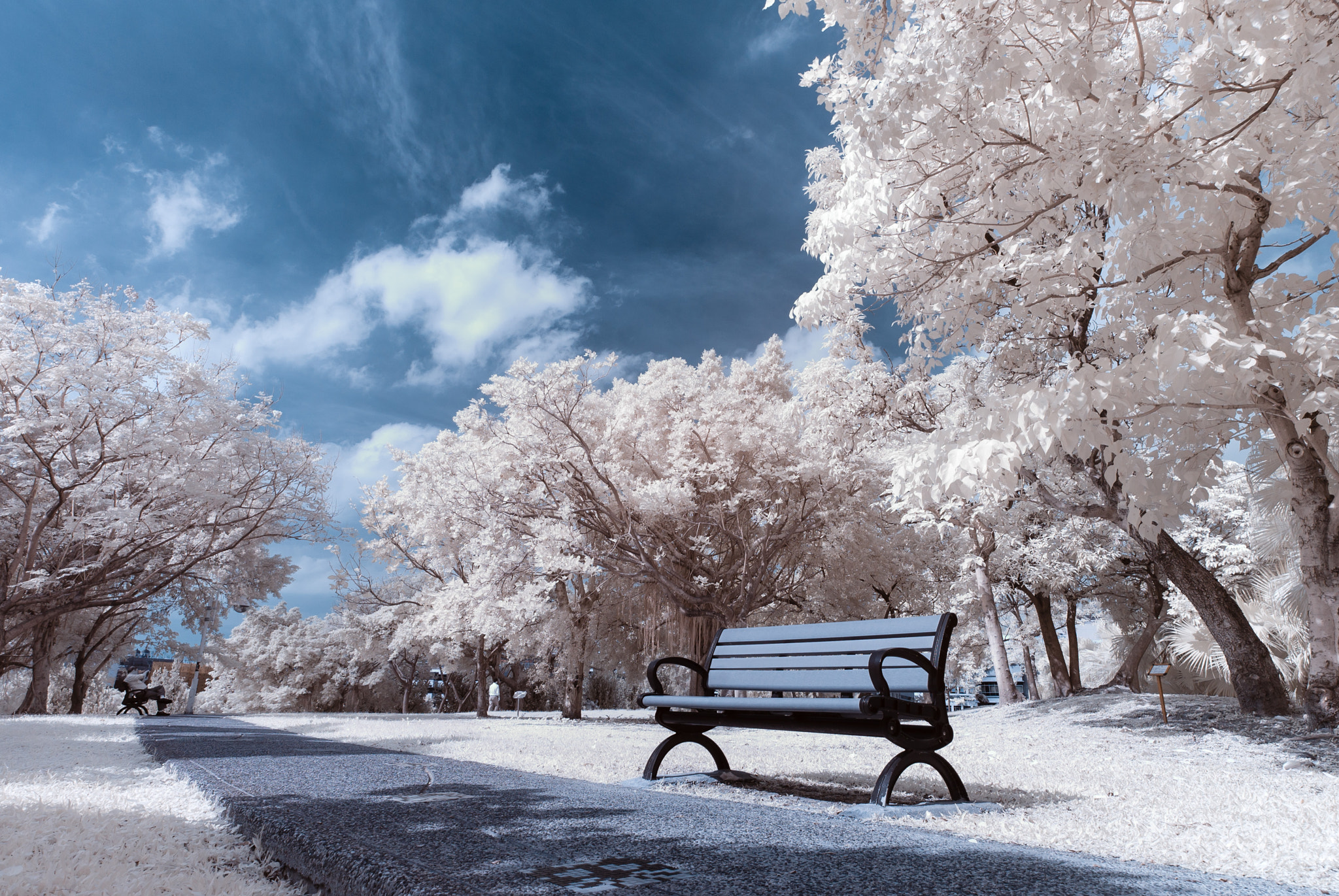 Samyang 14mm F2.8 ED AS IF UMC sample photo. Ir 720nm photography