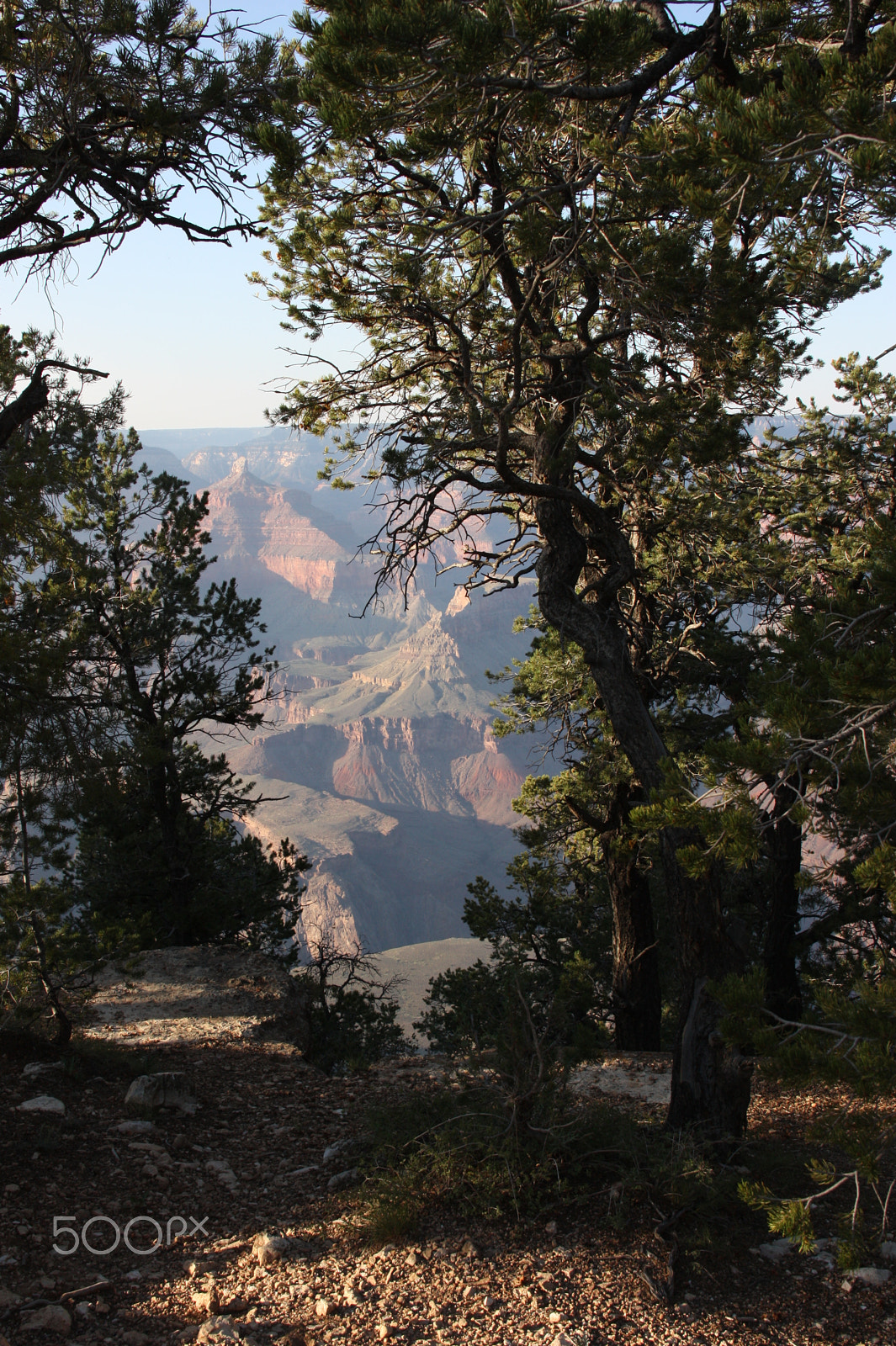 Canon EOS 450D (EOS Rebel XSi / EOS Kiss X2) sample photo. Grand canyon view photography