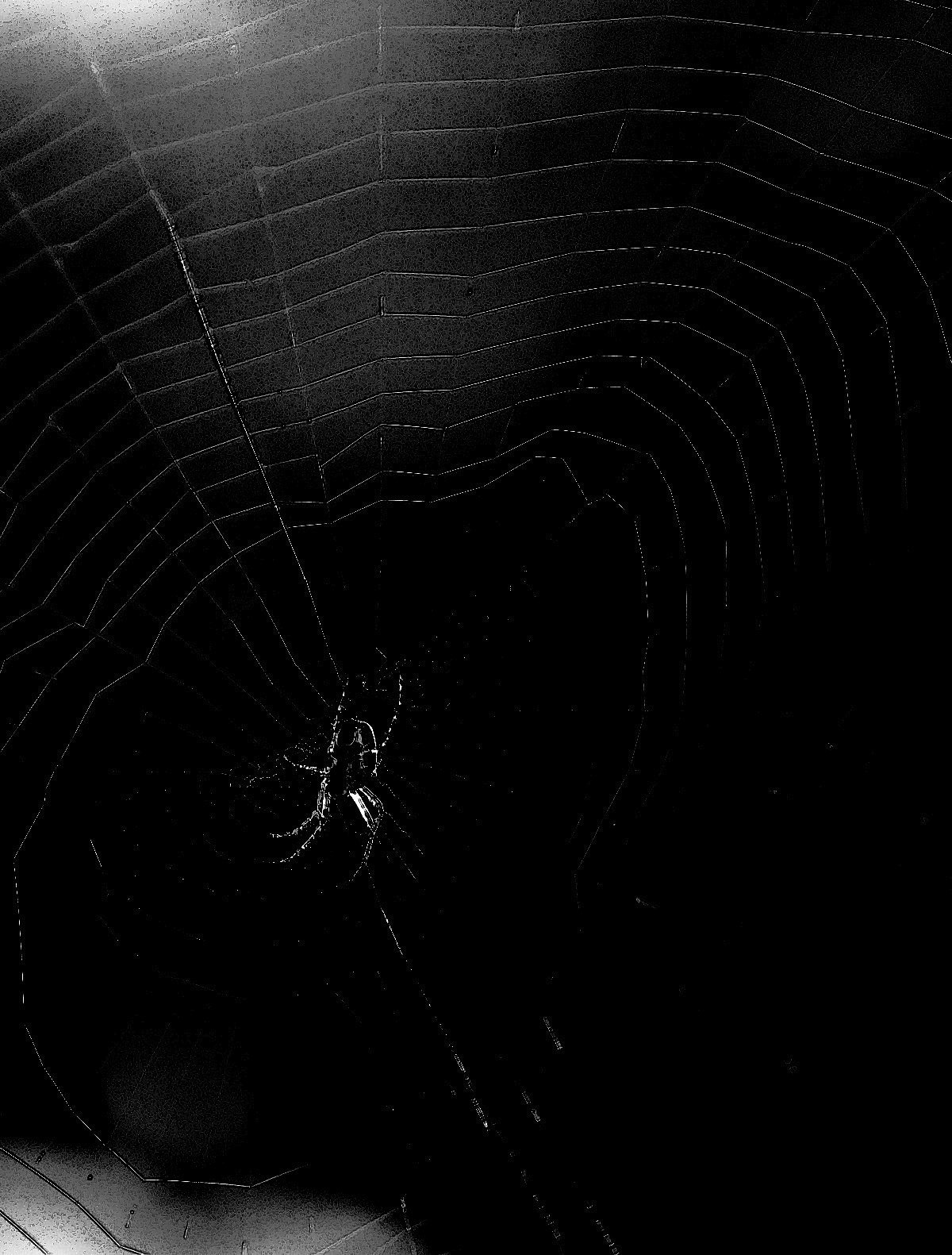 Panasonic Lumix DMC-GH4 + Olympus M.Zuiko Digital ED 75mm F1.8 sample photo. Spider in the night photography