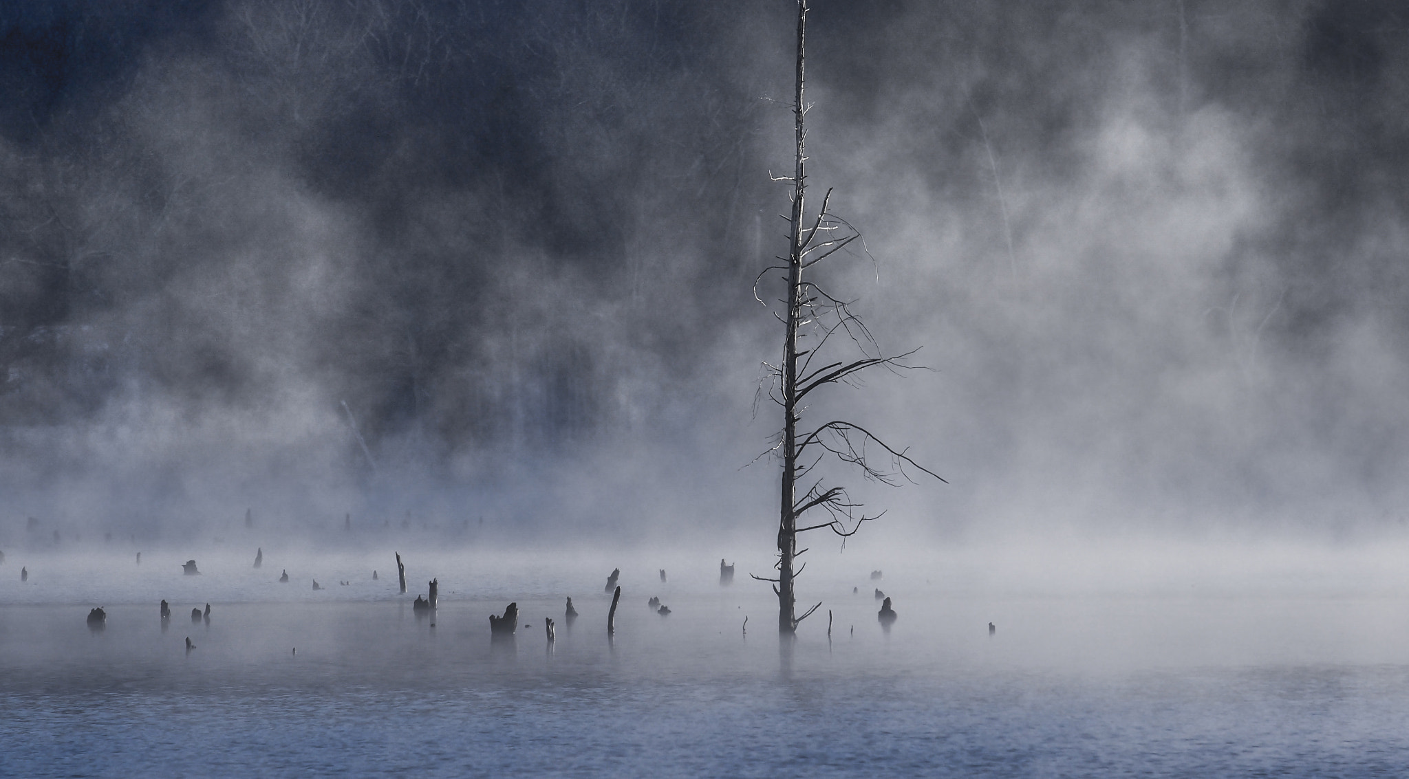 Olympus OM-D E-M5 sample photo. Morning mist over monksville reservoir photography