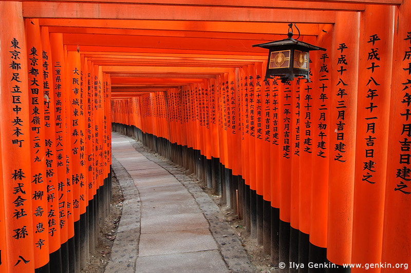 Ten Thousands of Red Gates (Torii) at Fushimi Inari Shrine, Kyoto