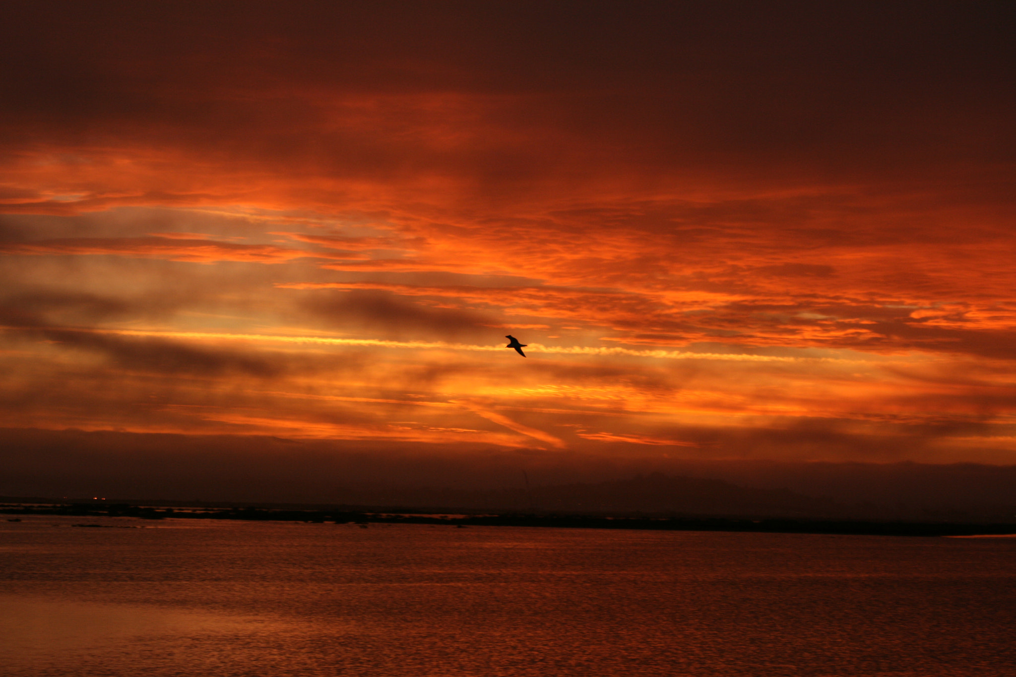 Sigma 28-80mm f/3.5-5.6 II Macro sample photo. Sunrise orange hwy 37. this is the un-touched pic photography