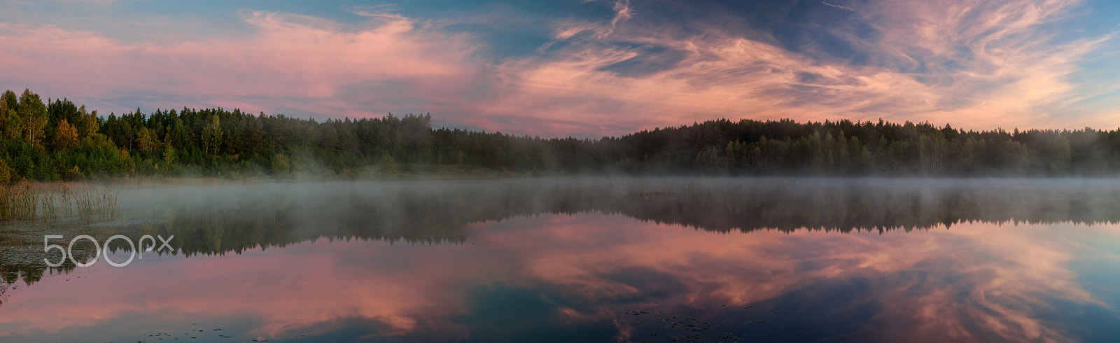 Nikon D3X sample photo. Pink clouds photography