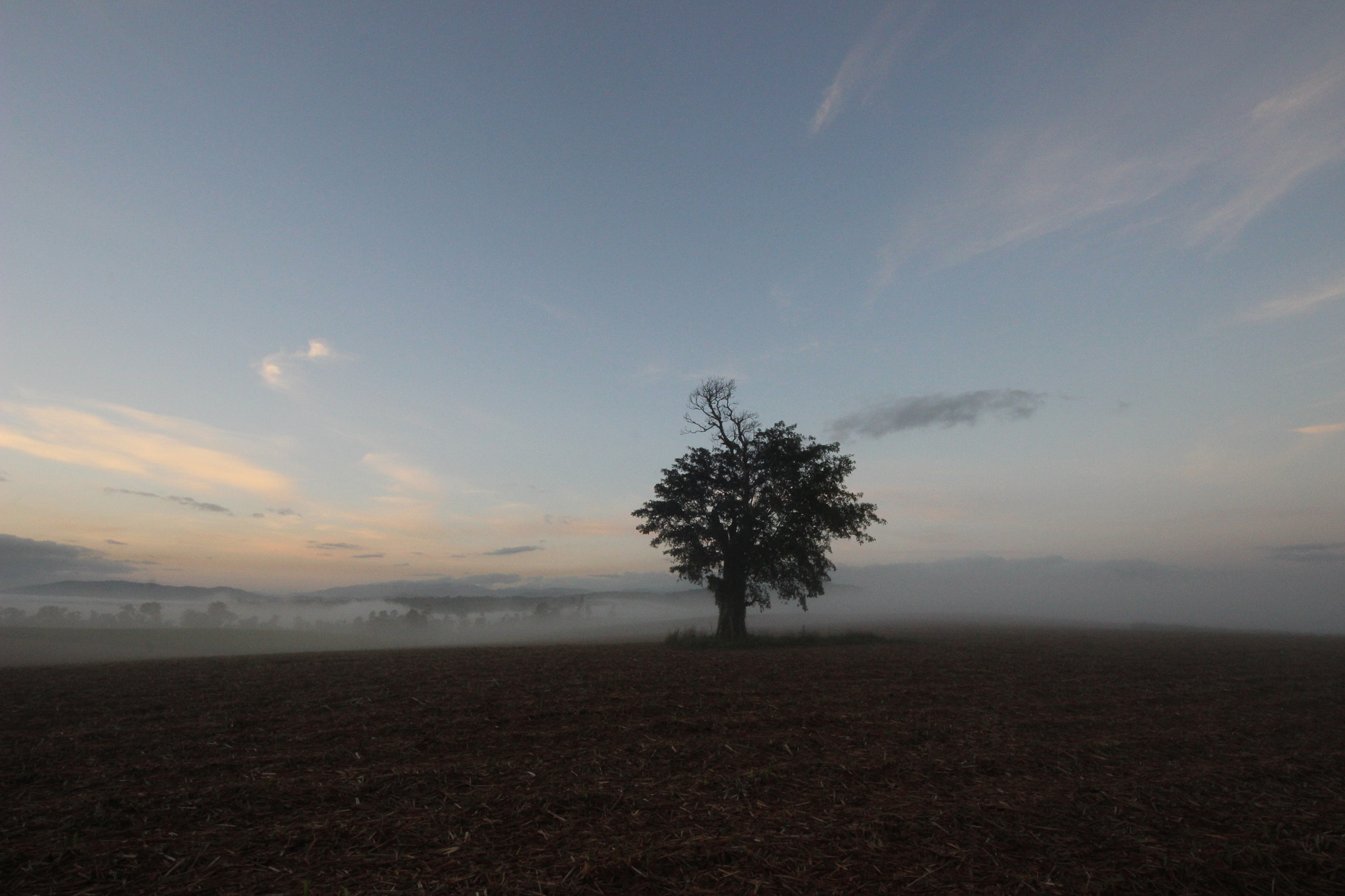 Sigma 8-16mm F4.5-5.6 DC HSM sample photo. Solo tree photography