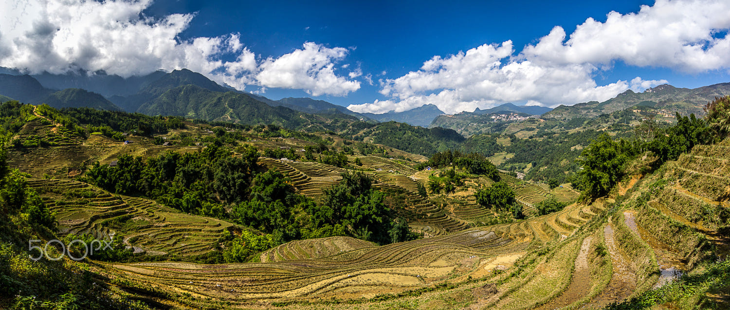 IMAGE: https://drscdn.500px.org/photo/130107057/q%3D80_m%3D1500_k%3D1/v2?webp=true&sig=5e02cd942c8b3d8ae5d86dc20bff9a88345a73862b9bfba3c43ac7944de8bc74