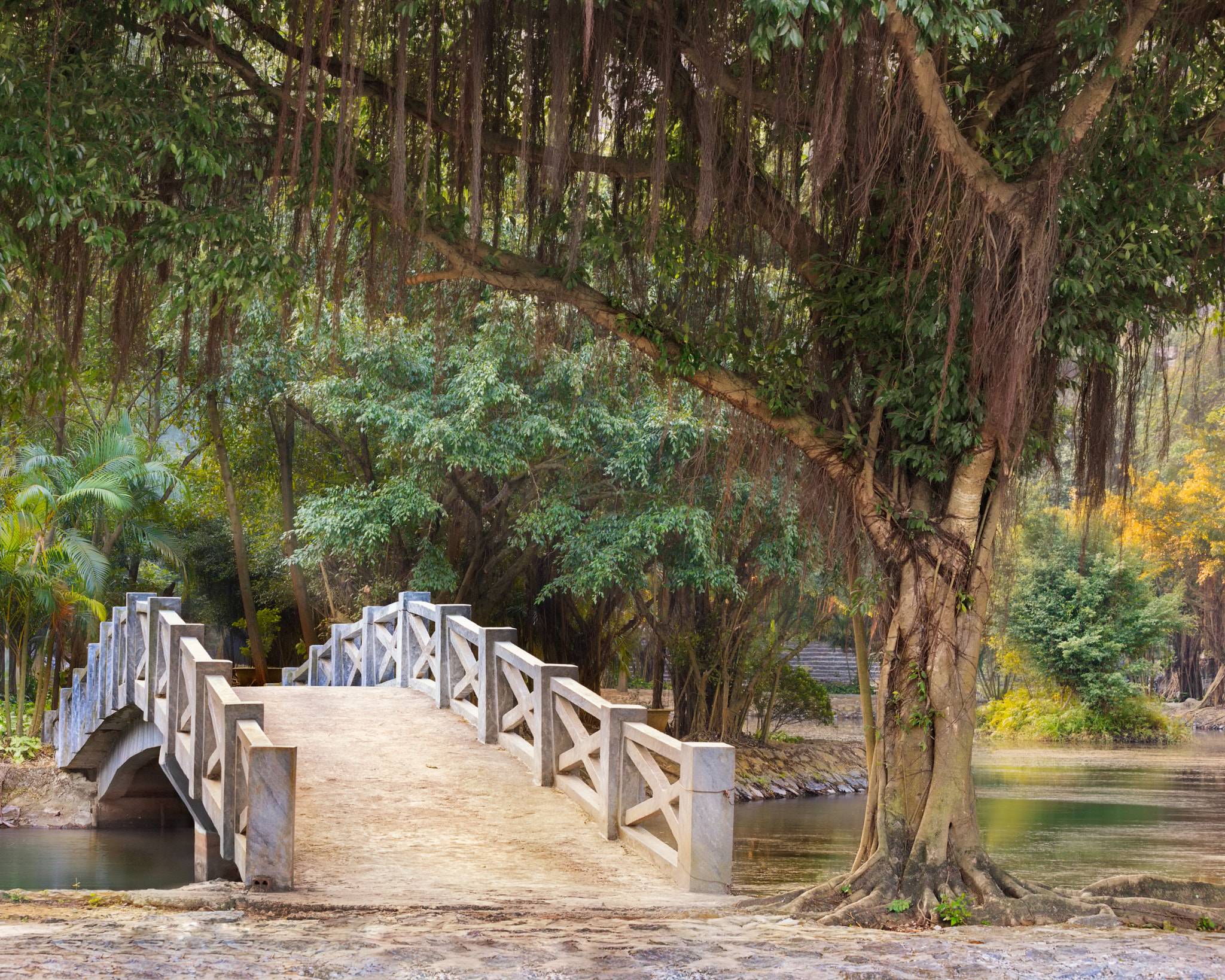 asian tropical garden, Ninh Binh, Vietnam