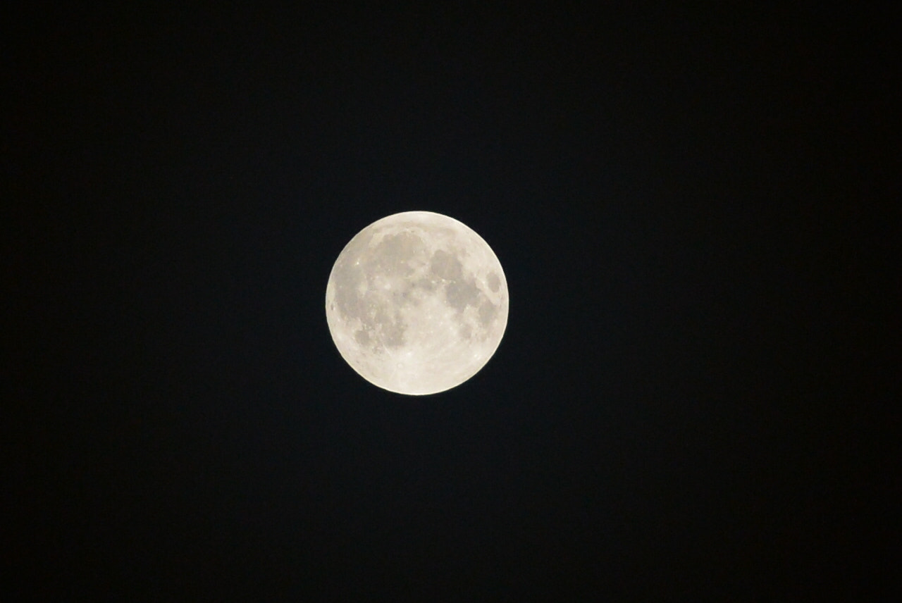 Nikon AF-S Nikkor 70-200mm F4G ED VR sample photo
