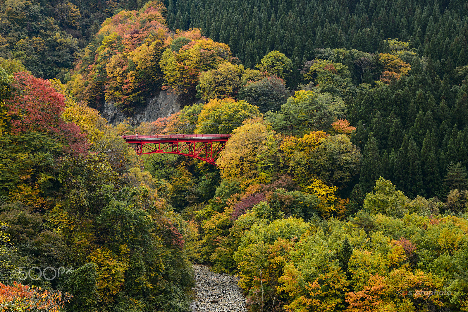 Nikon D4S + Nikon AF-S Nikkor 24-120mm F4G ED VR sample photo. Autumn in nagano photography