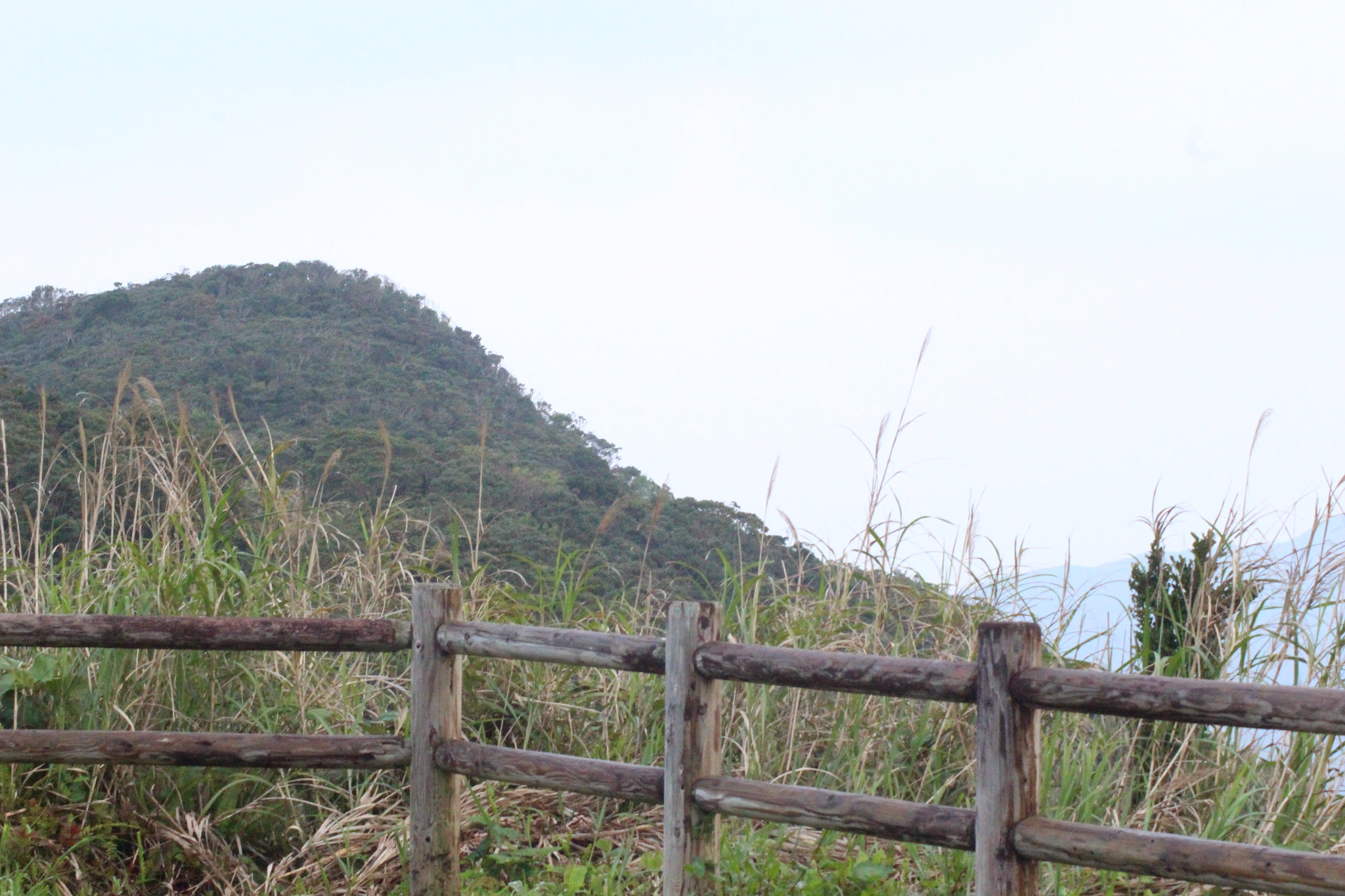 Canon EOS 100D (EOS Rebel SL1 / EOS Kiss X7) sample photo. Amami oshima photography