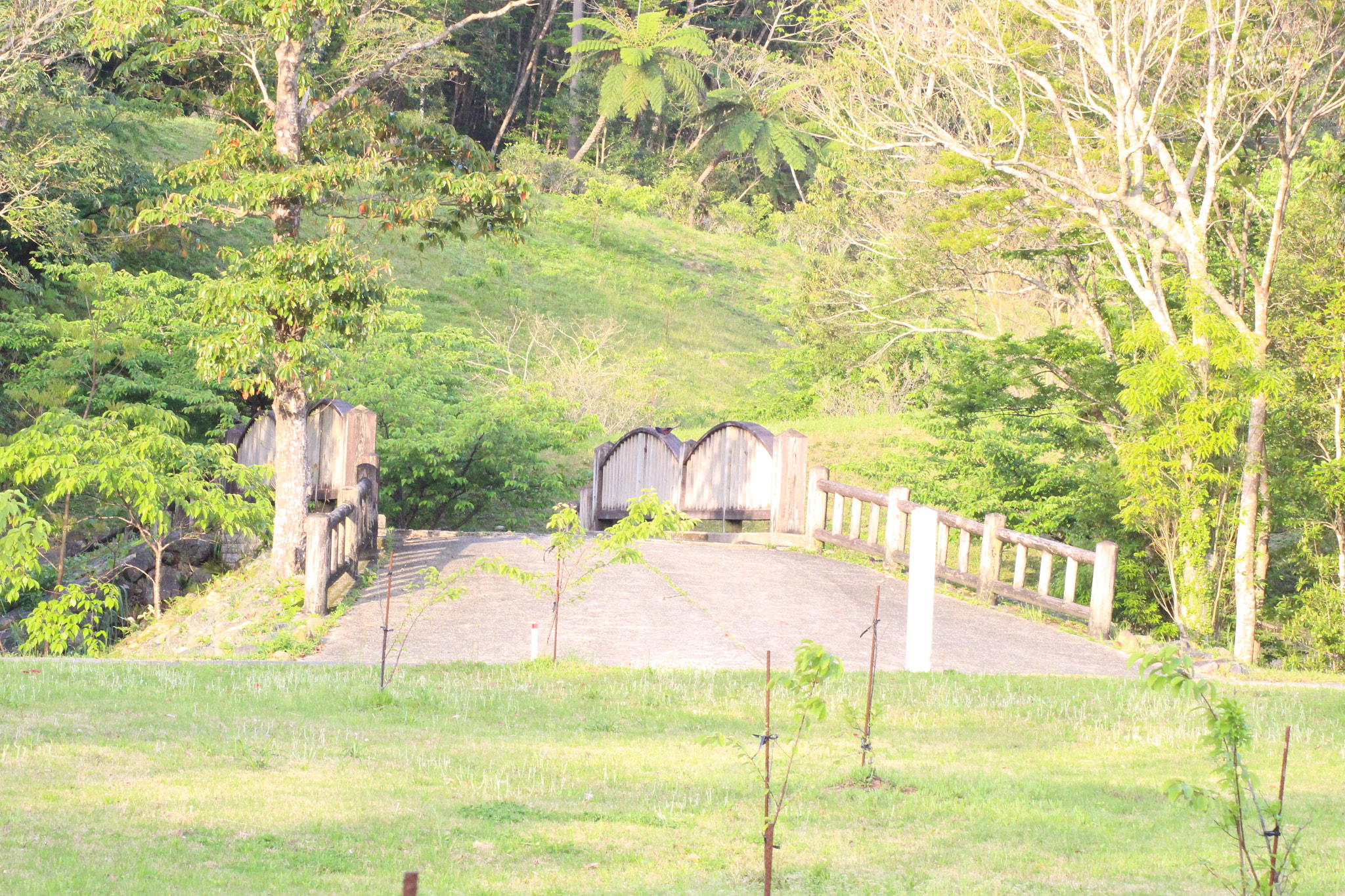 Canon EOS 100D (EOS Rebel SL1 / EOS Kiss X7) sample photo. Amami oshima photography