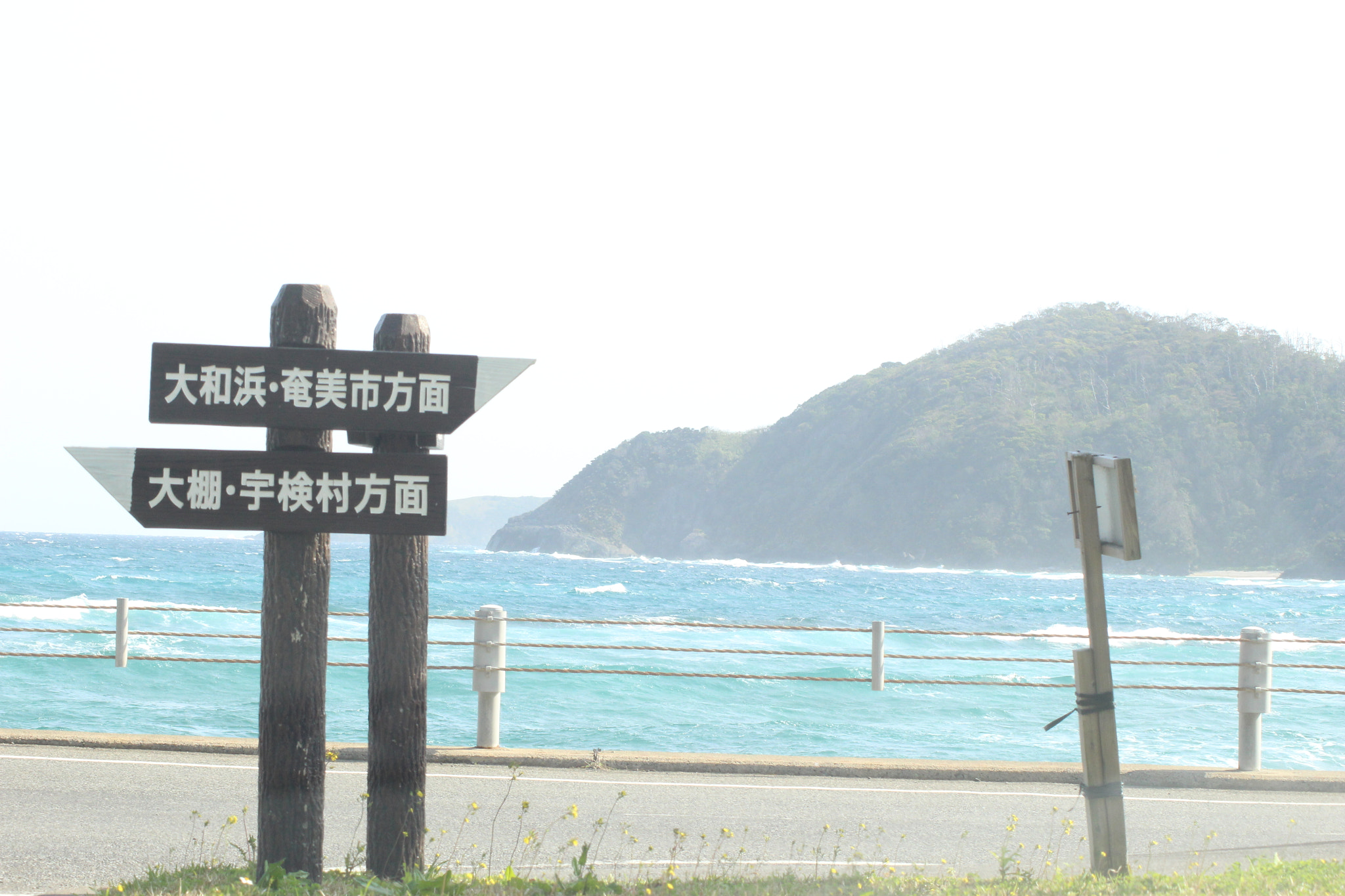 Canon EOS 100D (EOS Rebel SL1 / EOS Kiss X7) sample photo. Amami oshima photography