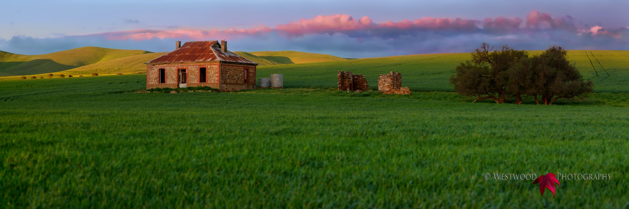 ZEISS Apo Sonnar T* 135mm F2 sample photo. Field of dreams photography