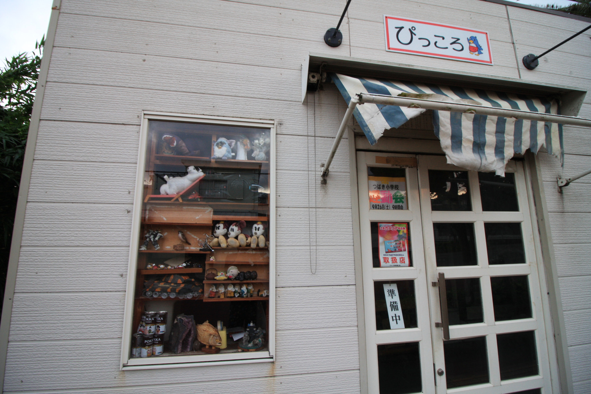Canon EF-S 10-18mm F4.5–5.6 IS STM sample photo. Landscapes, food and others at izu oshima photography