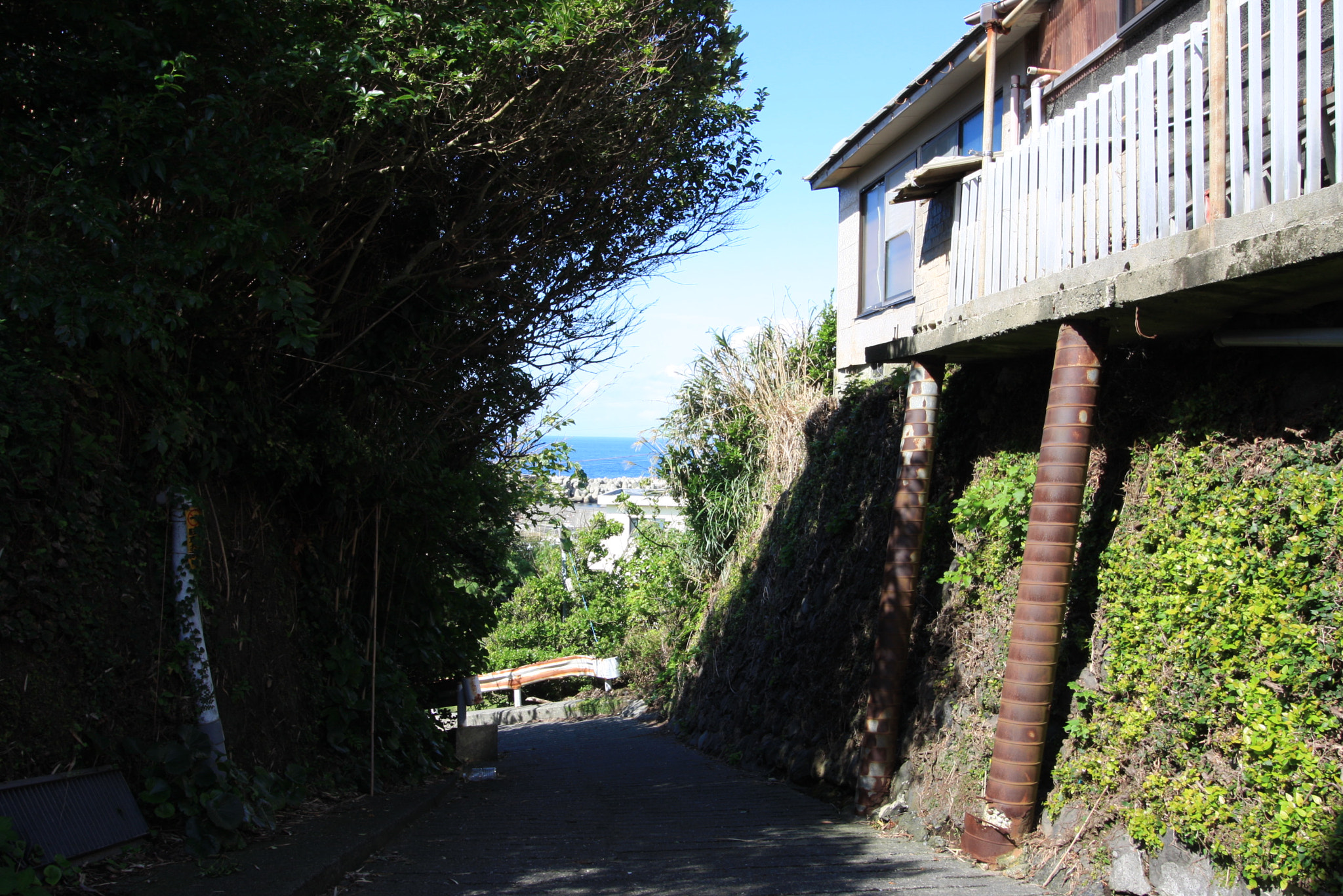 Canon EF-S 10-18mm F4.5–5.6 IS STM sample photo. Landscapes, food and others at izu oshima photography