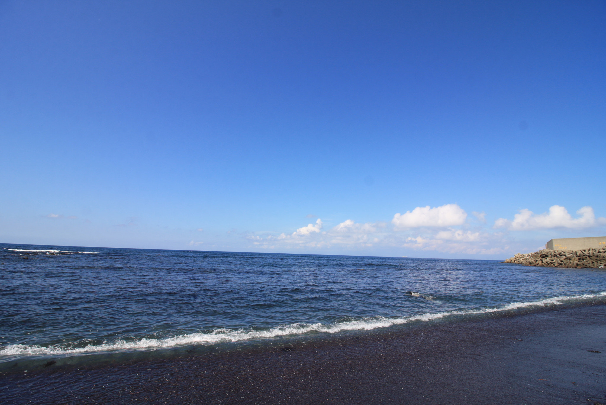 Canon EF-S 10-18mm F4.5–5.6 IS STM sample photo. Landscapes, food and others at izu oshima photography