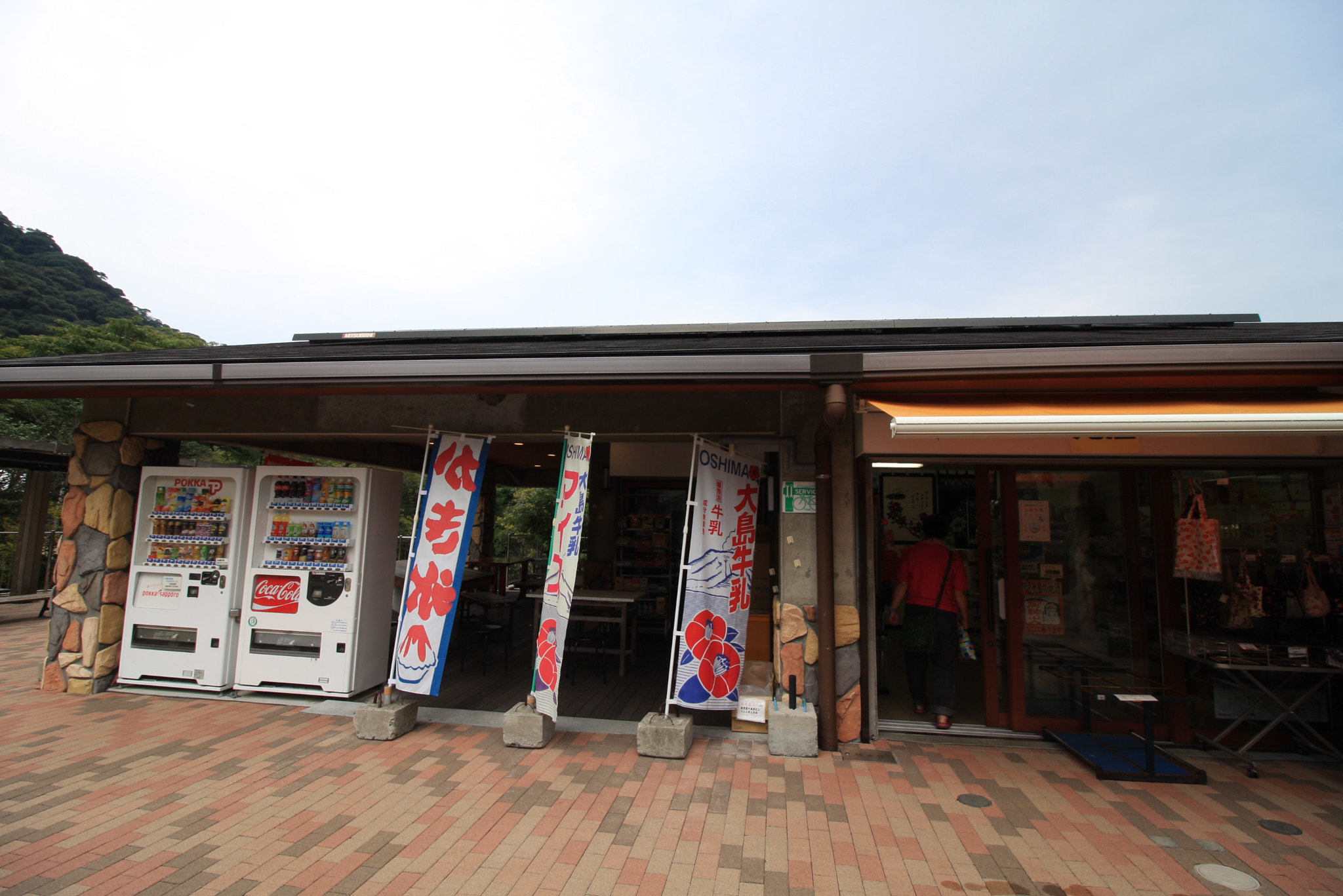 Canon EF-S 10-18mm F4.5–5.6 IS STM sample photo. Landscapes, food and others at izu oshima photography