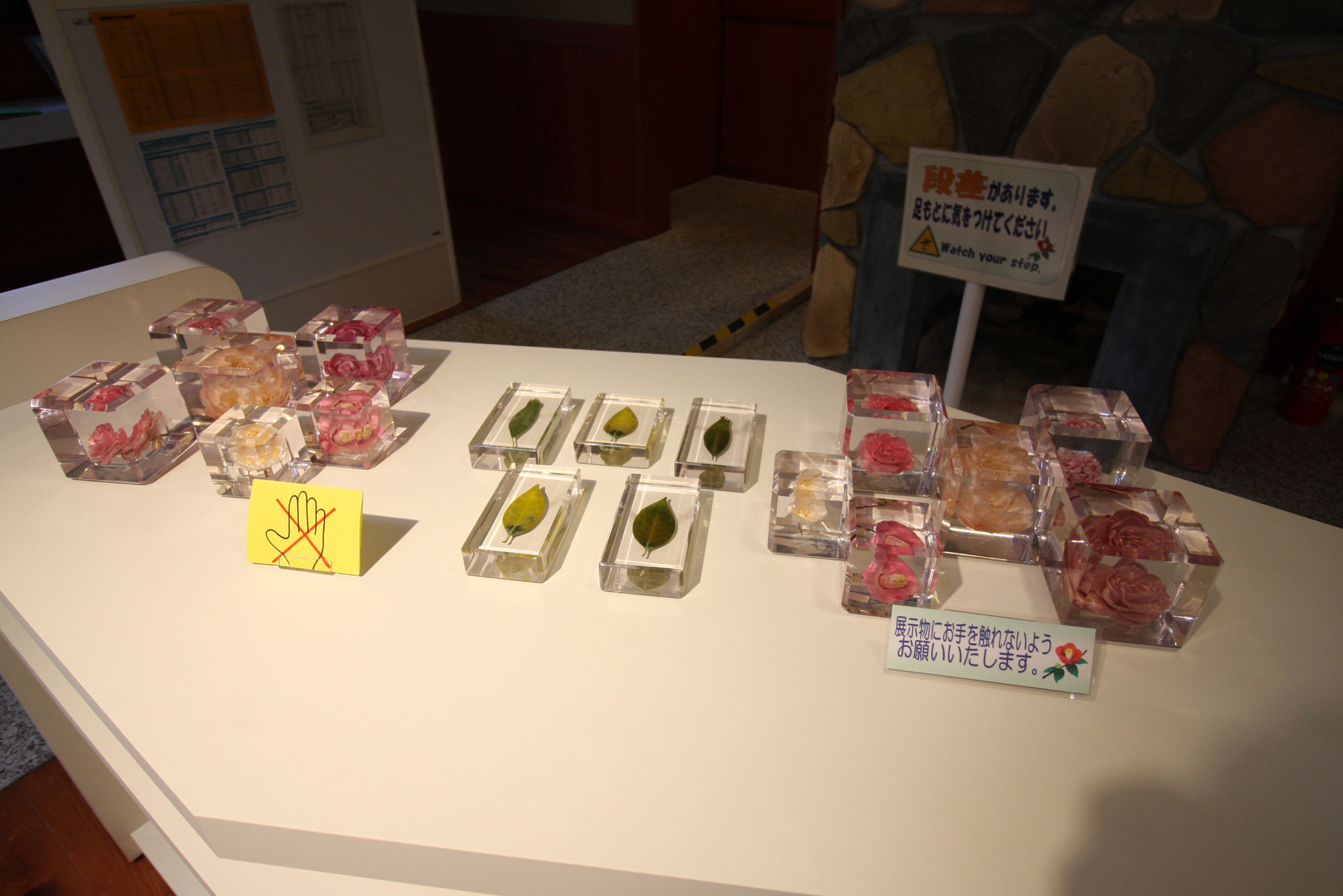 Canon EF-S 10-18mm F4.5–5.6 IS STM sample photo. Landscapes, food and others at izu oshima photography
