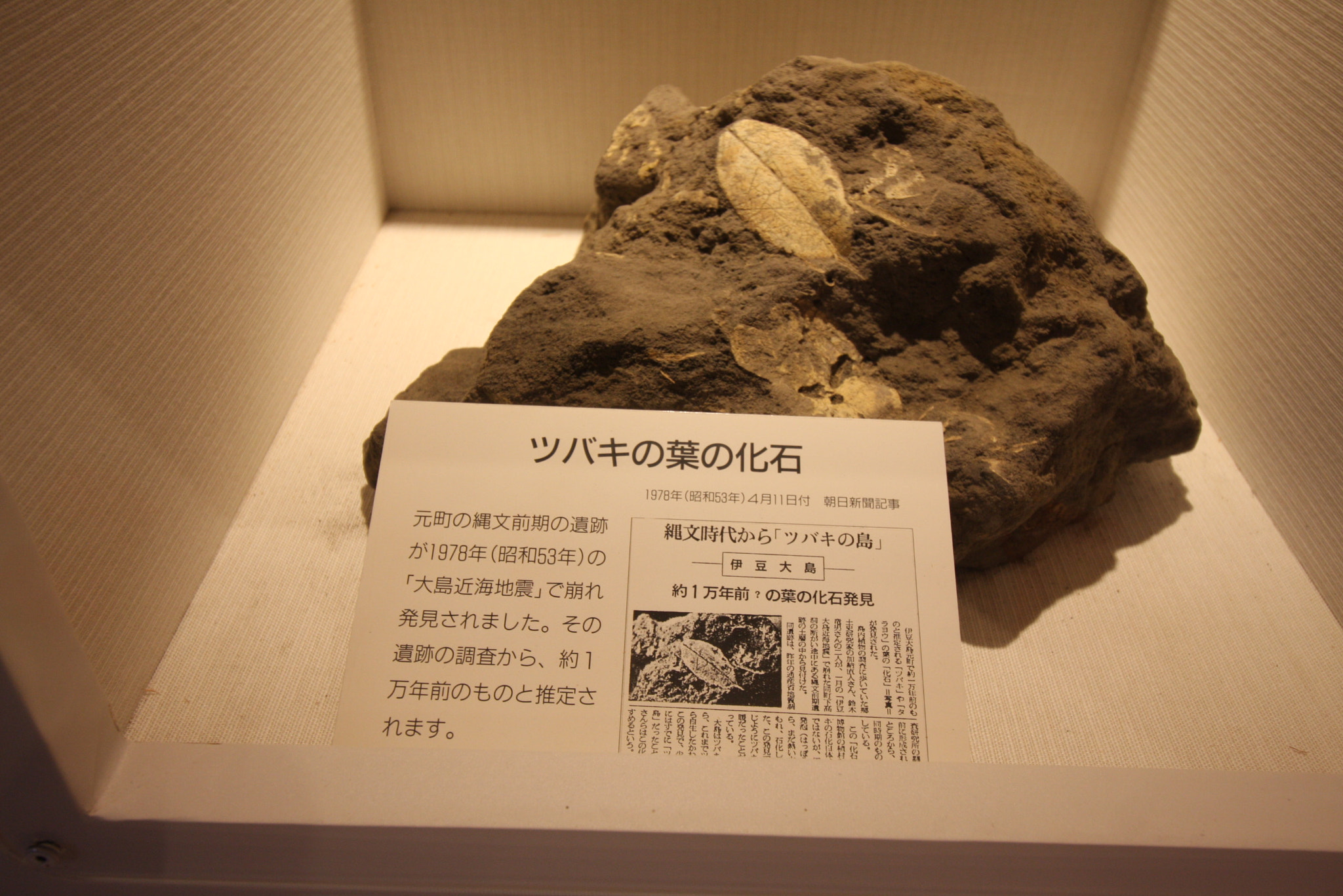 Canon EF-S 10-18mm F4.5–5.6 IS STM sample photo. Landscapes, food and others at izu oshima photography