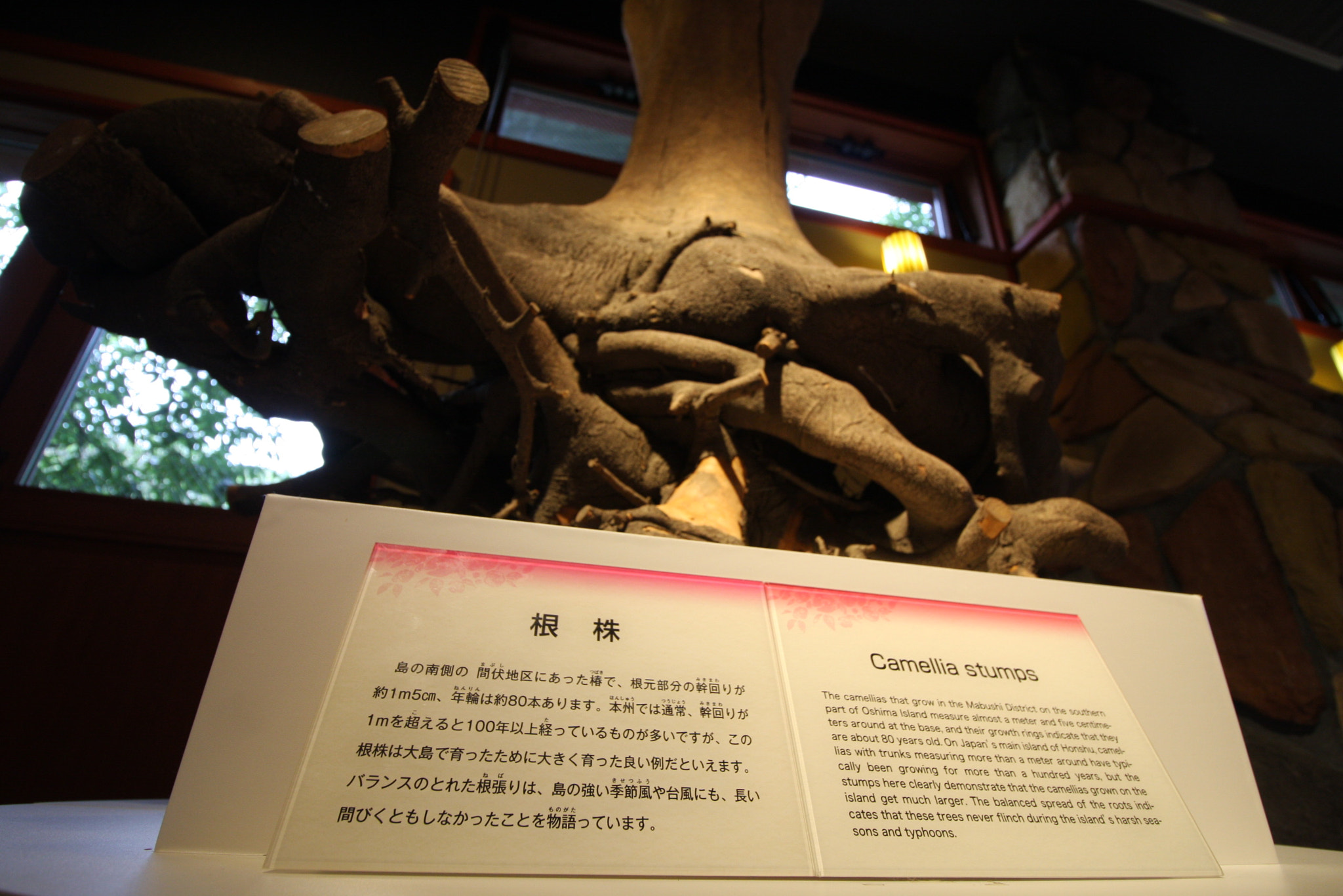Canon EF-S 10-18mm F4.5–5.6 IS STM sample photo. Landscapes, food and others at izu oshima photography