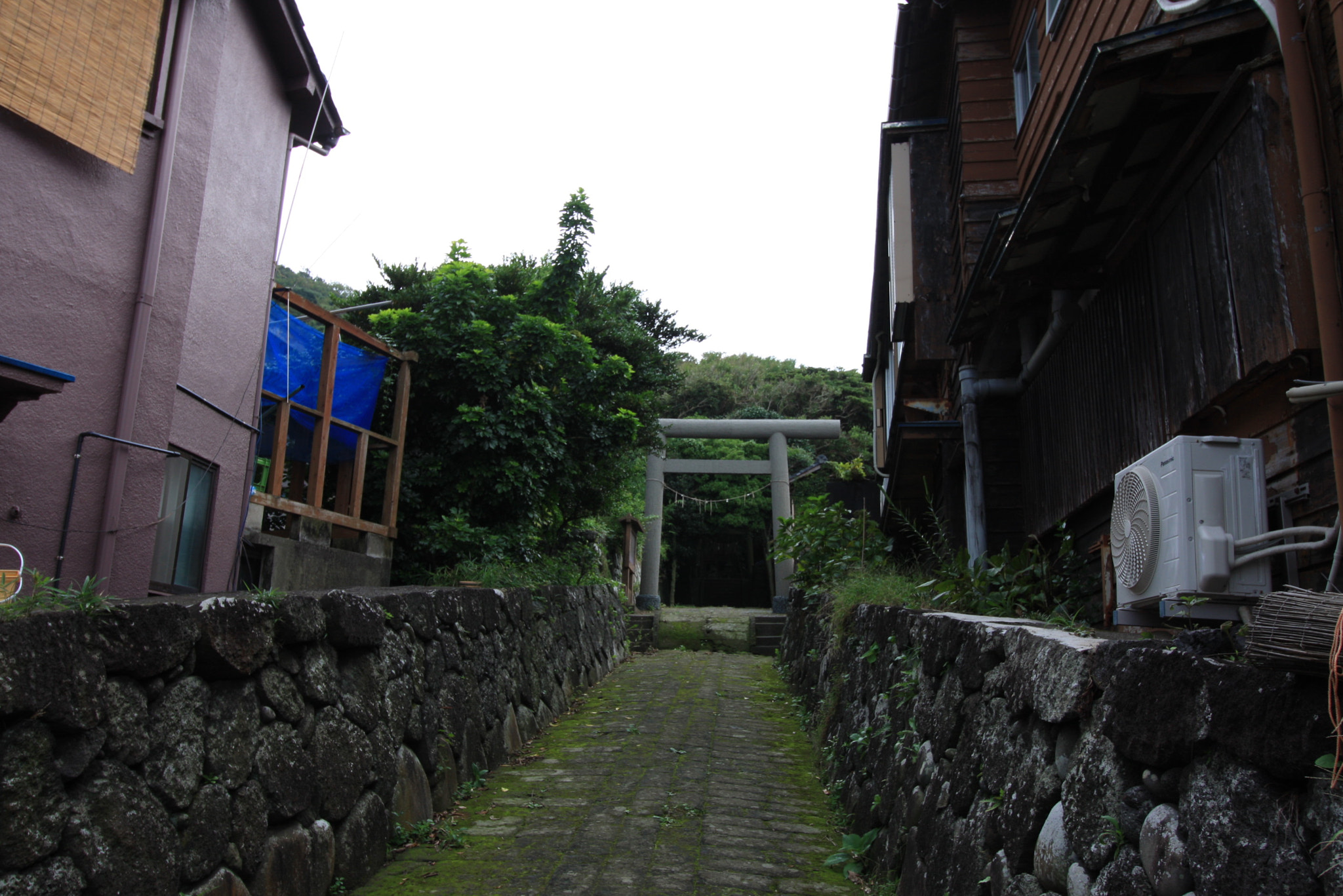 Canon EF-S 10-18mm F4.5–5.6 IS STM sample photo. Landscapes, food and others at izu oshima photography