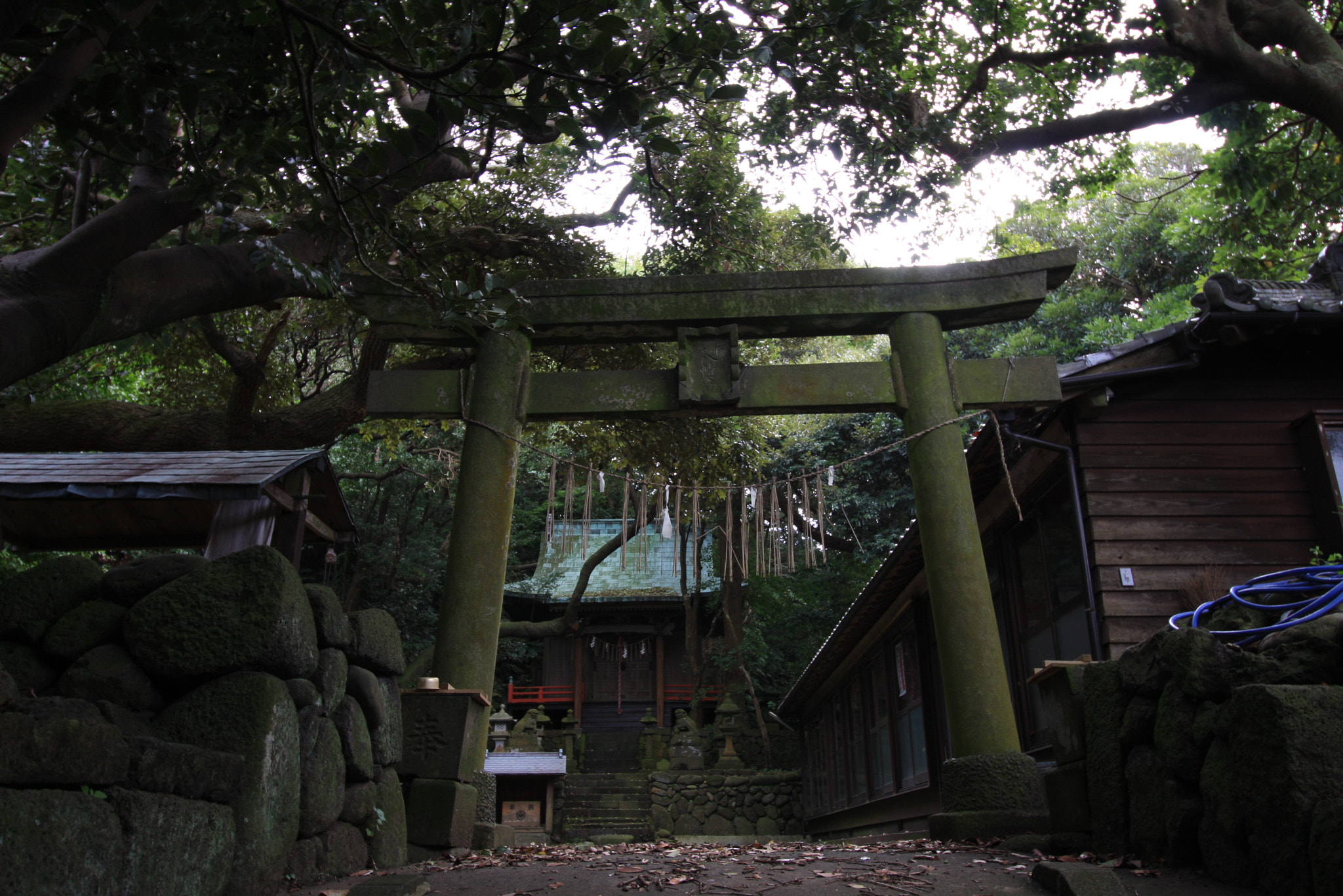 Canon EF-S 10-18mm F4.5–5.6 IS STM sample photo. Landscapes, food and others at izu oshima photography