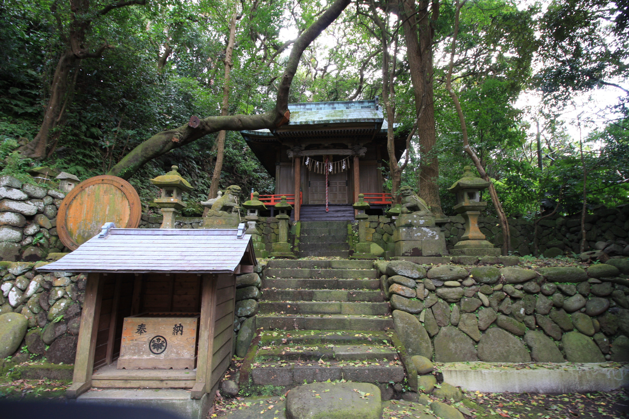 Canon EF-S 10-18mm F4.5–5.6 IS STM sample photo. Landscapes, food and others at izu oshima photography