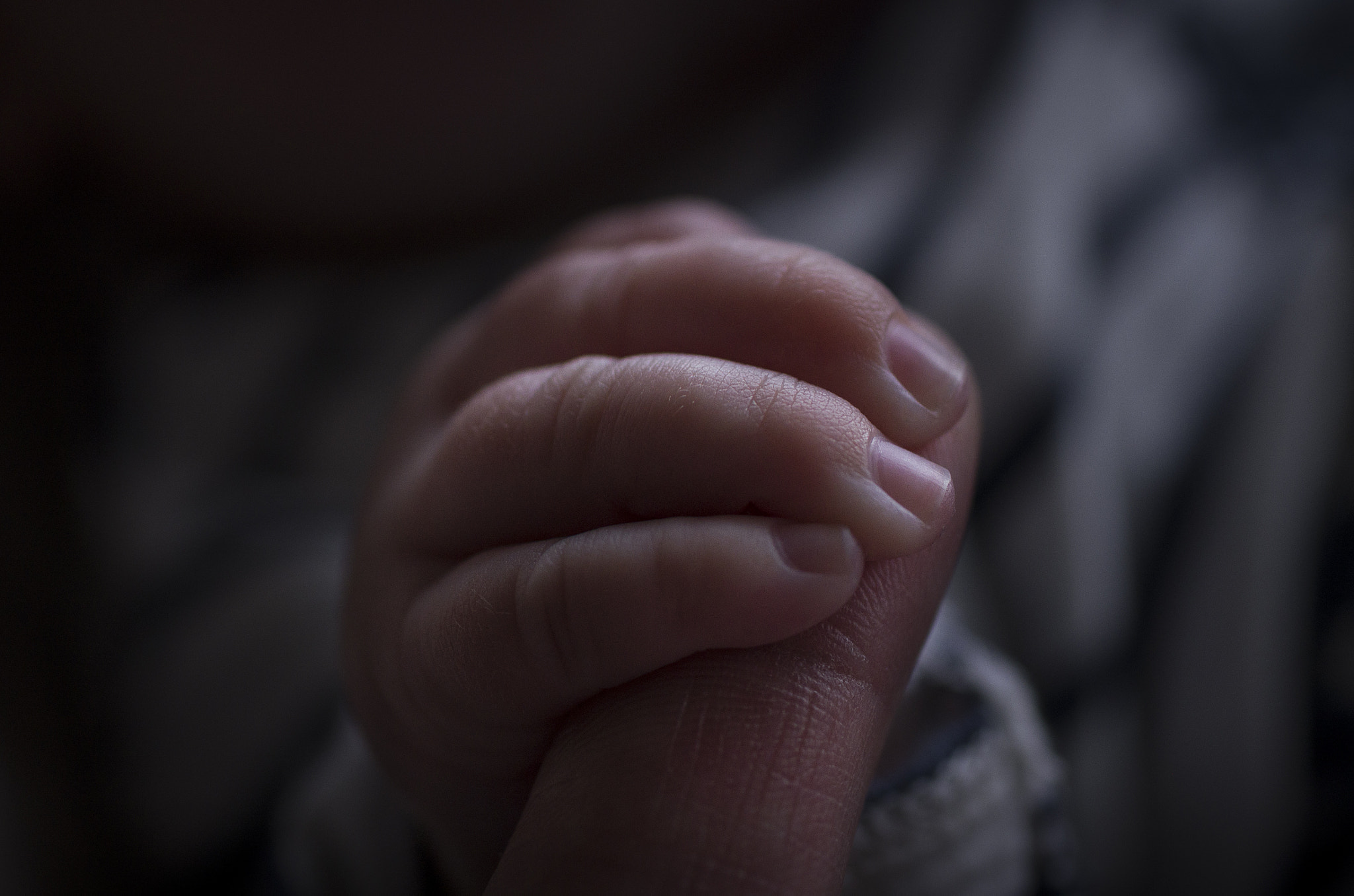 smc PENTAX-F MACRO 50mm F2.8 sample photo. Small hands photography
