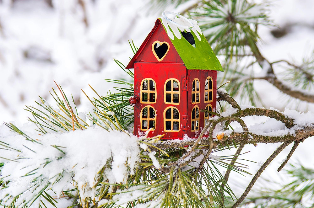Pentax smc DA 50-200mm F4-5.6 ED WR sample photo. Decorative lantern on a snow-covered fir tree photography