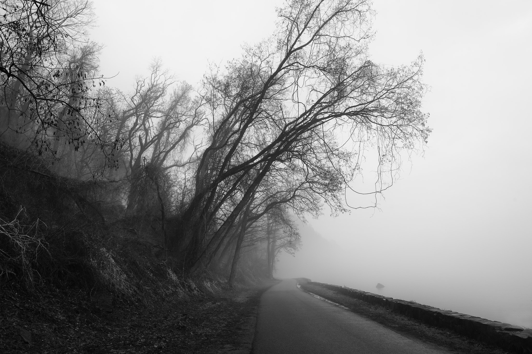 Nikon AF-S Nikkor 24mm F1.4G ED sample photo. Out on the wiley, windy moors... photography
