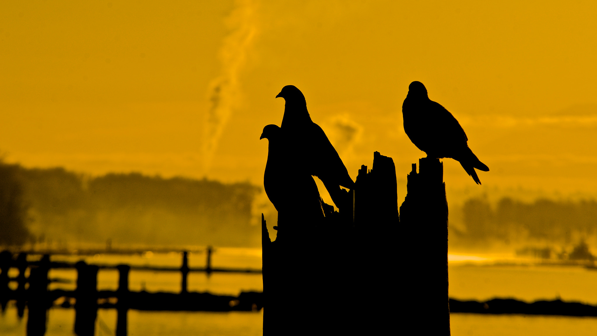 smc PENTAX-FA J 75-300mm F4.5-5.8 AL sample photo. Trinity photography