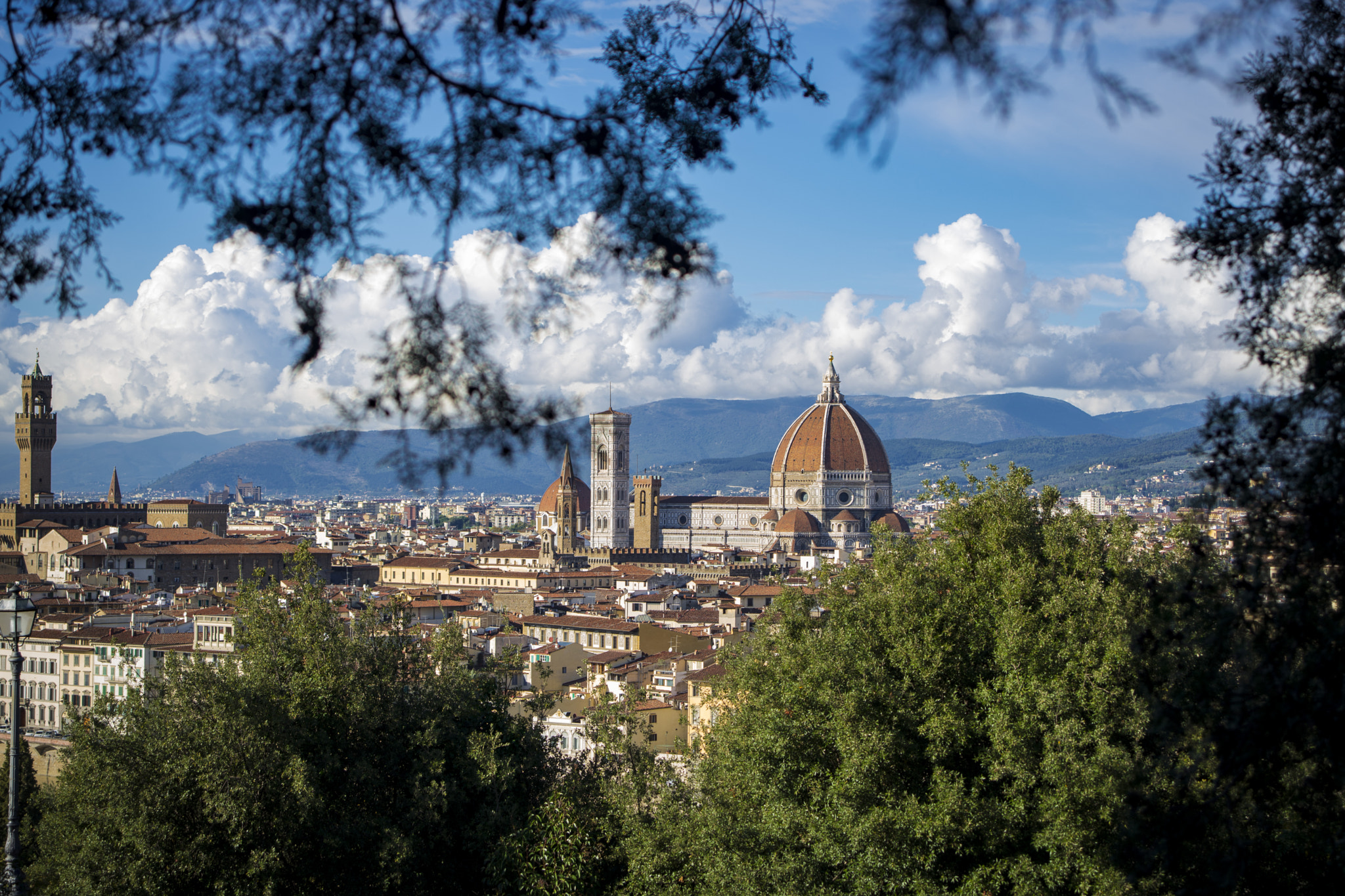 AF Zoom-Nikkor 28-70mm f/3.5-4.5 sample photo. Firenze photography