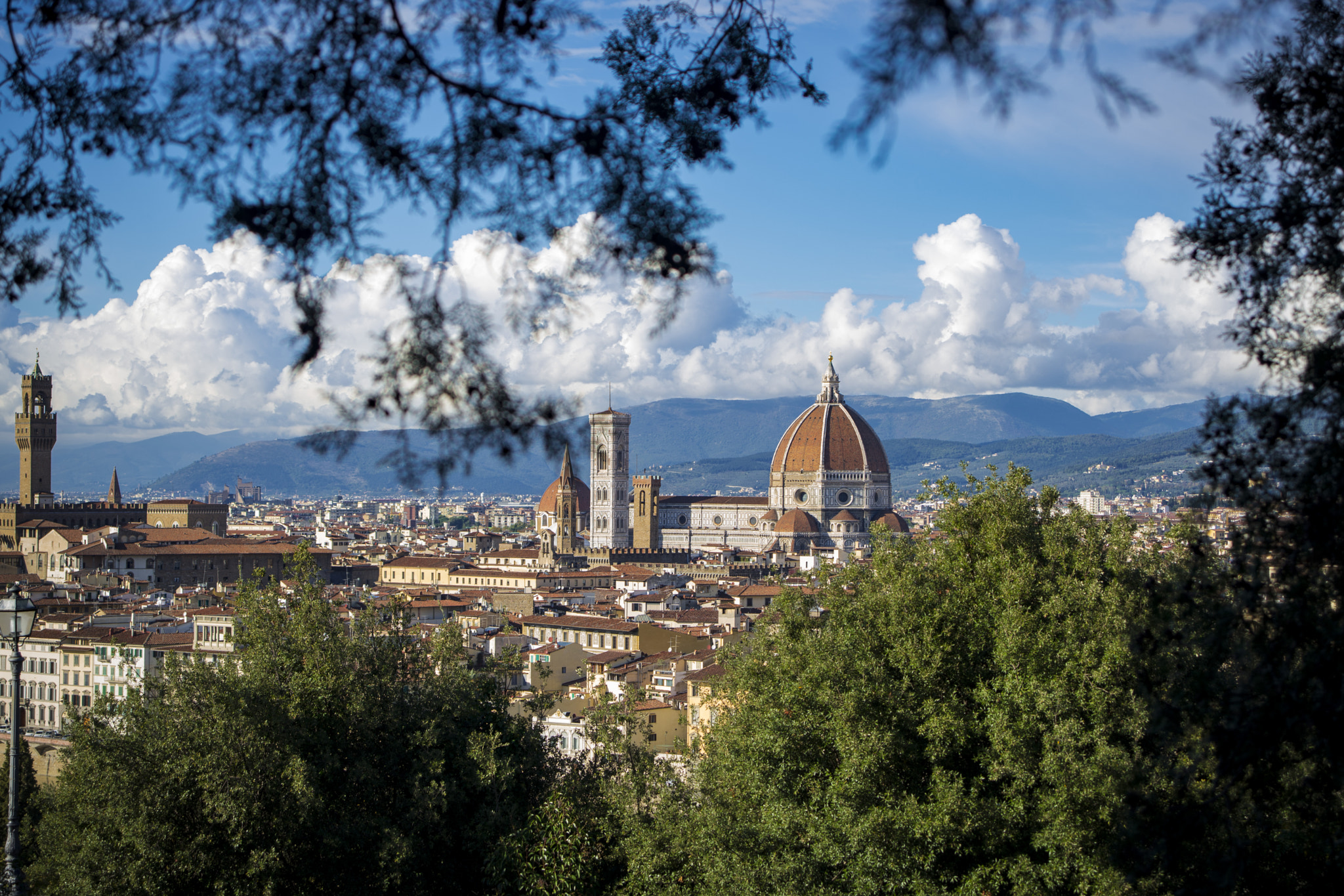 Nikon D610 + AF Zoom-Nikkor 28-70mm f/3.5-4.5 sample photo. Firenze photography