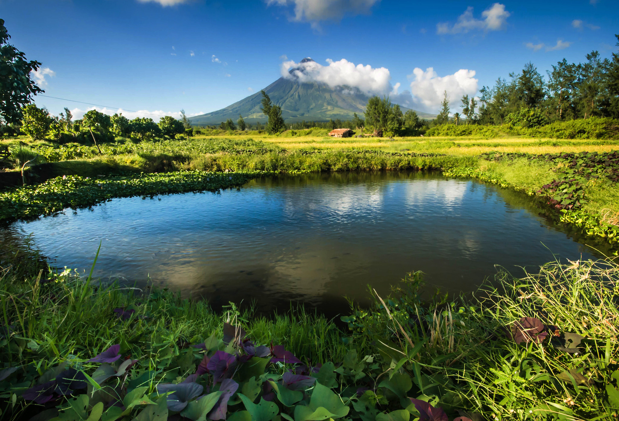 Sigma 10-20mm F4-5.6 EX DC HSM sample photo. Majestic mayon photography