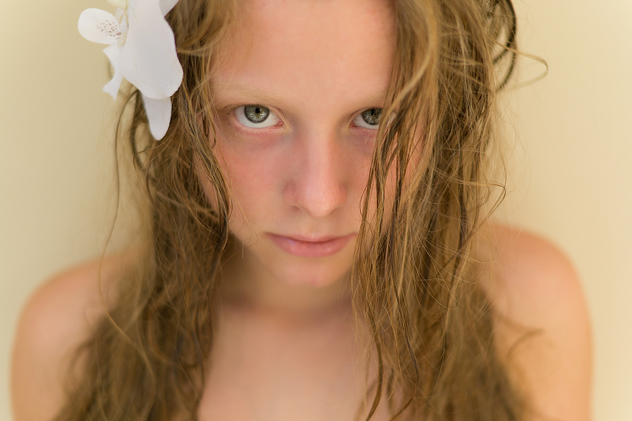 Nikon D3100 + Sigma 30mm F1.4 EX DC HSM sample photo. Dsc_4593.jpg photography