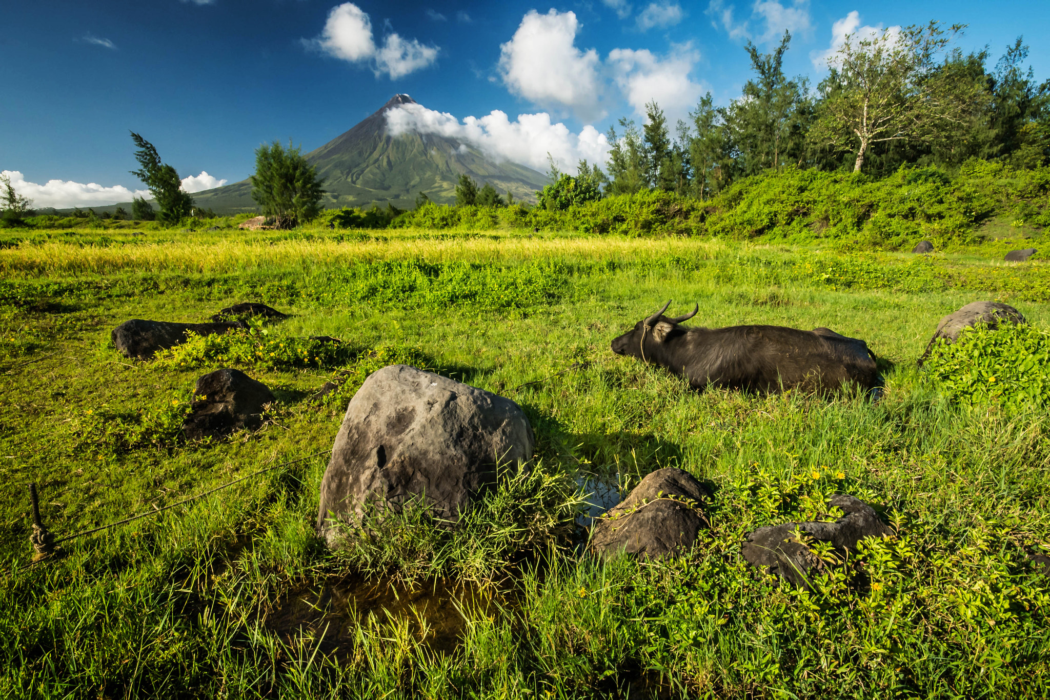 Sigma 10-20mm F4-5.6 EX DC HSM sample photo. Majestic mayon 2 photography