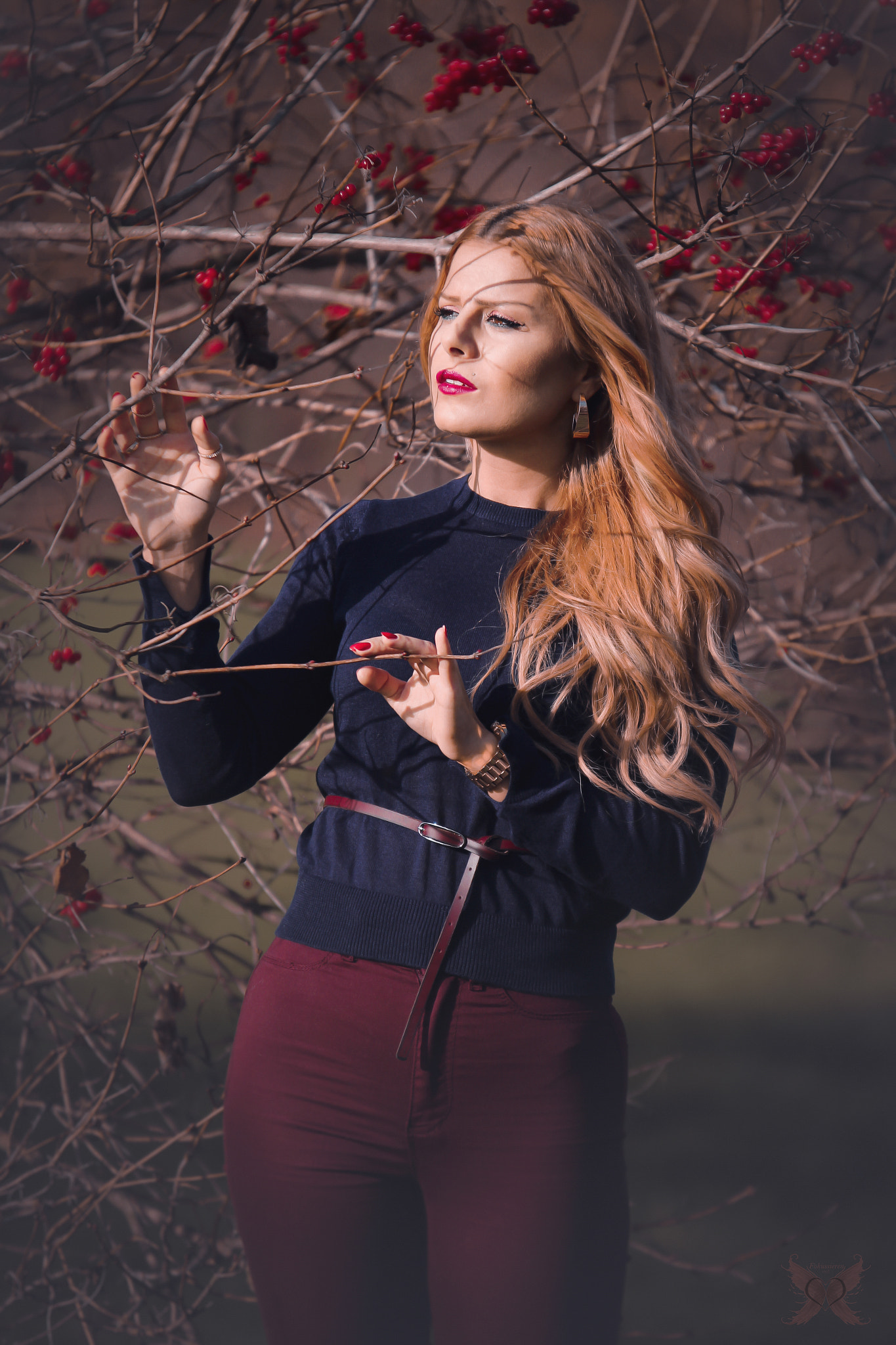 Sigma 70-200mm F2.8 EX DG OS HSM sample photo. Autumnshadow photography