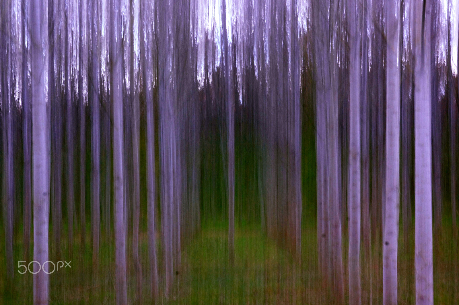Canon 28-70mm sample photo. Viento silencioso. photography
