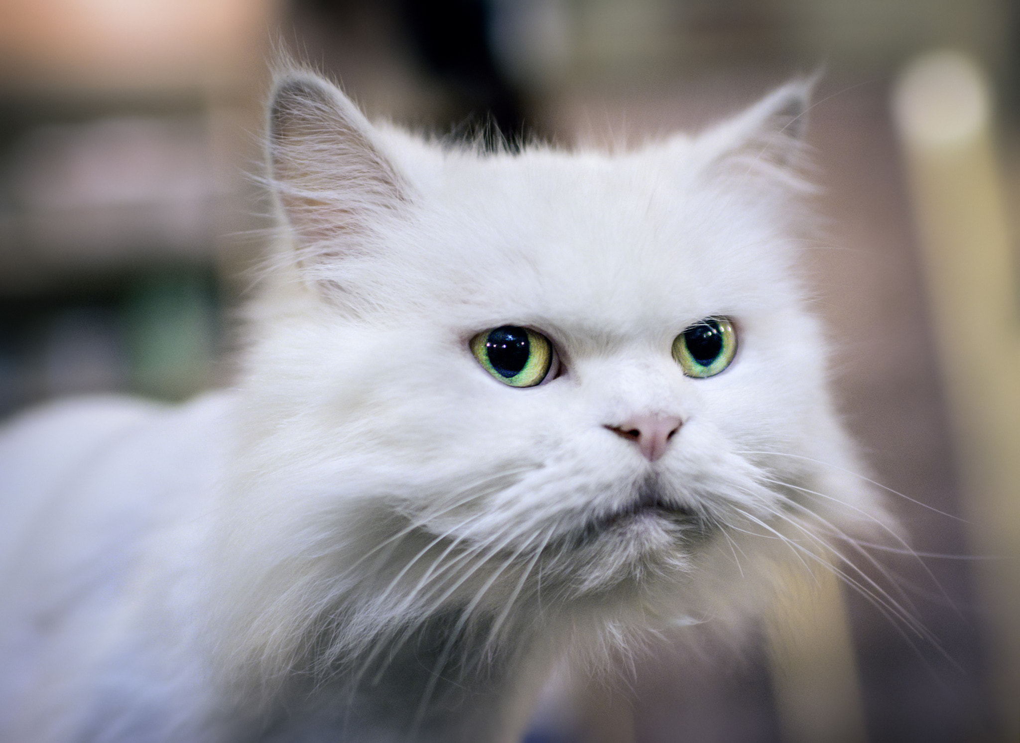 Nikon D7100 + Nikon AF-S Nikkor 35mm F1.4G sample photo. Leave me alone photography