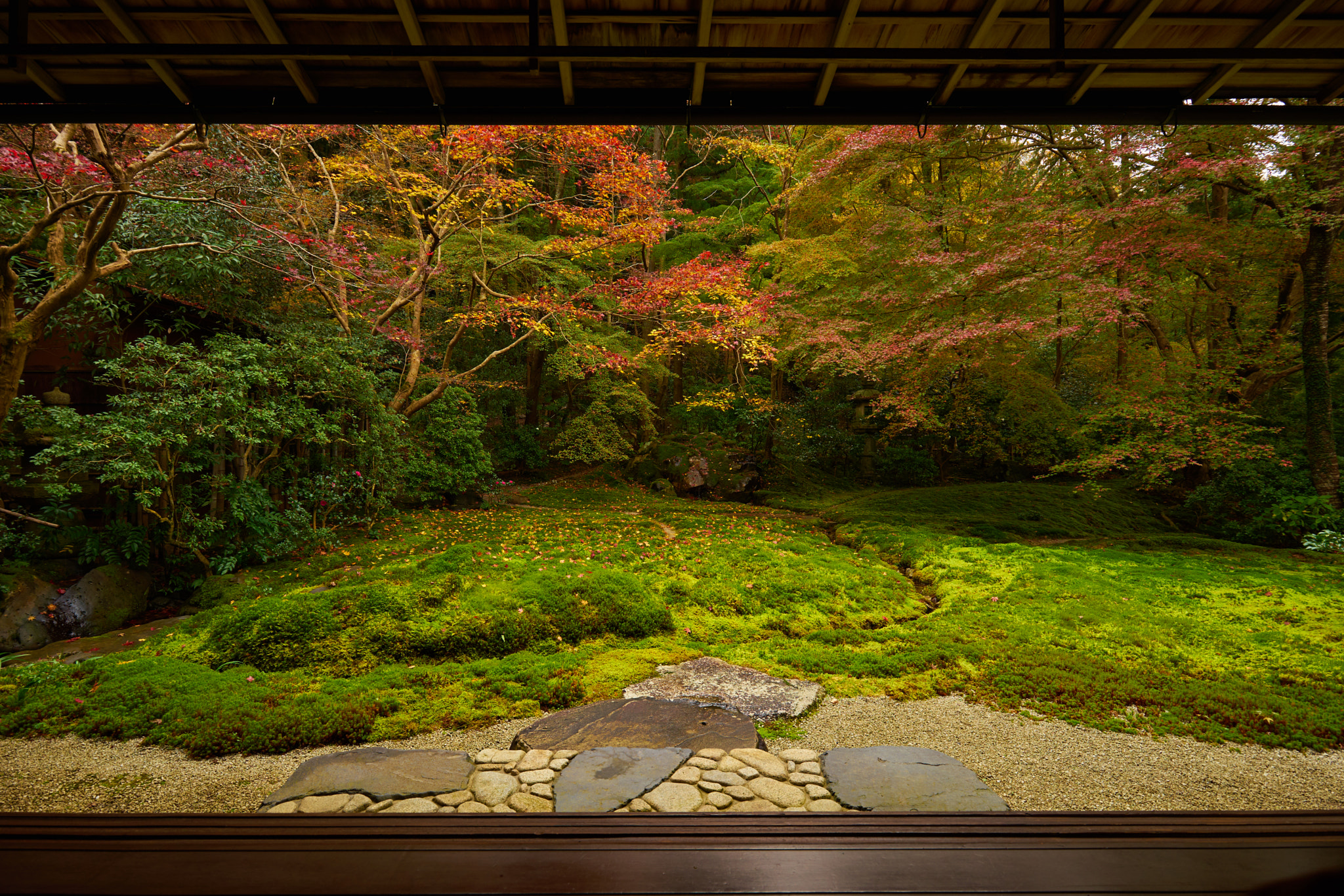 16-35mm F4 OSS sample photo. Rurikouin photography